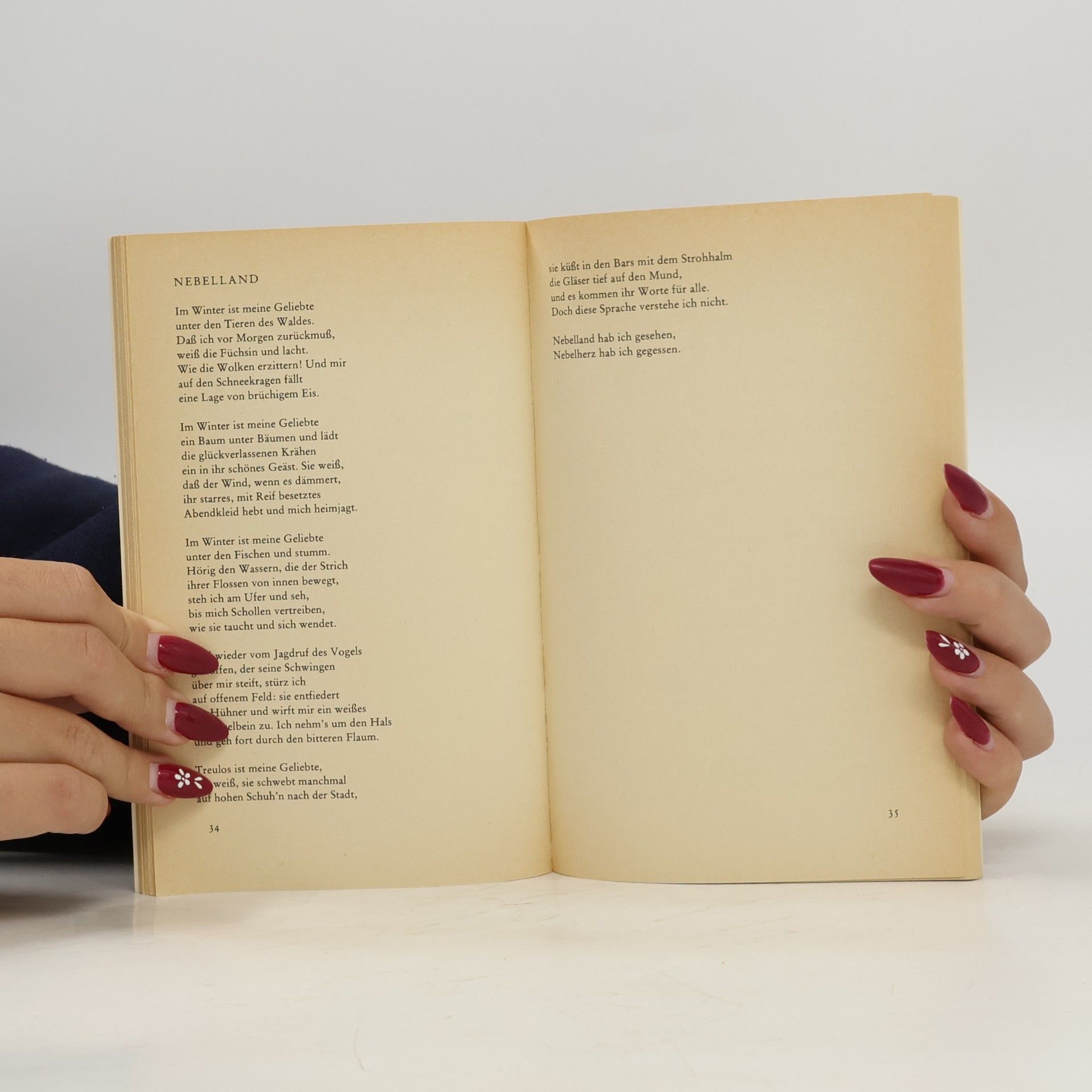 Ingeborg Bachmann Anrufung des Großen Bären