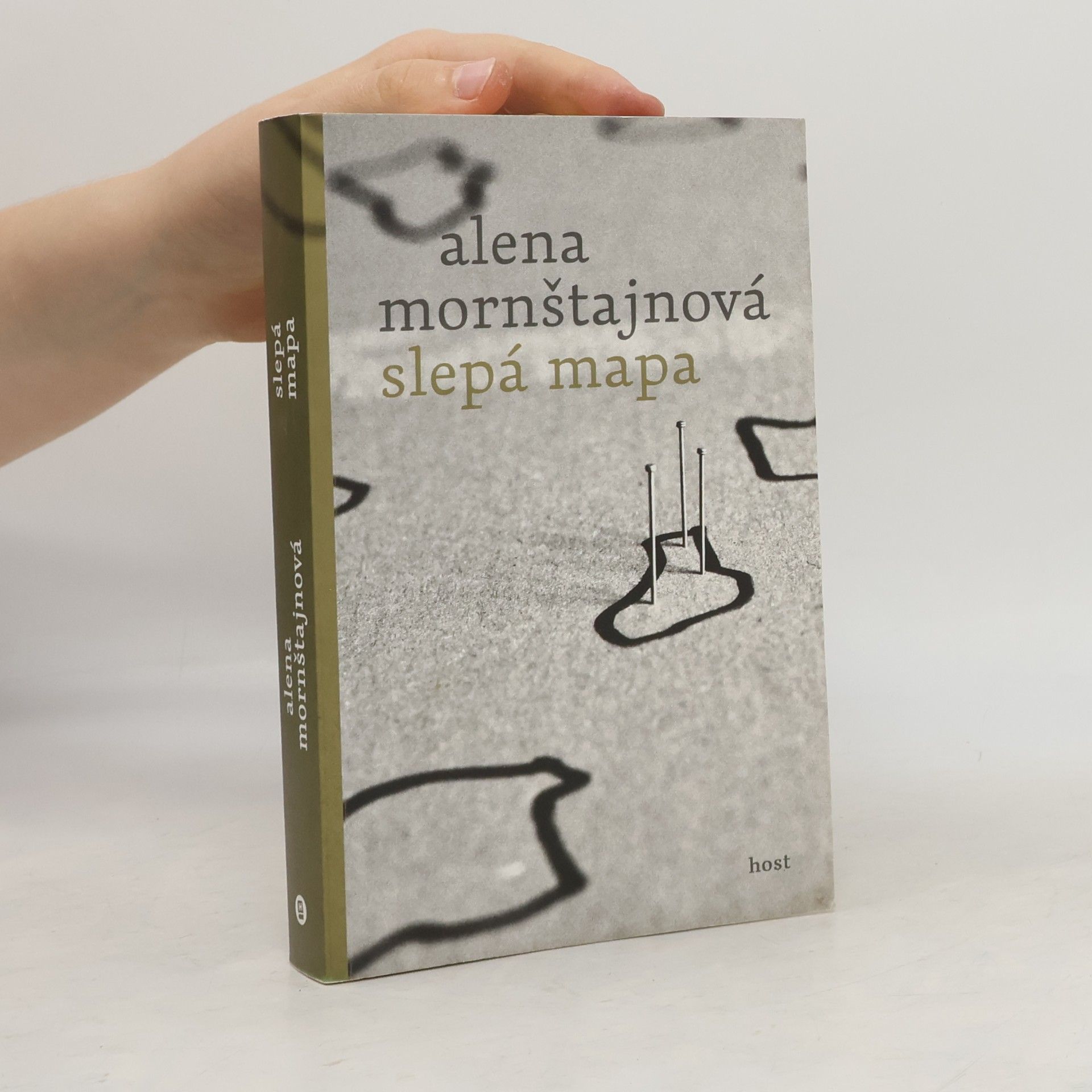 Alena Mornštajnová Slepá mapa