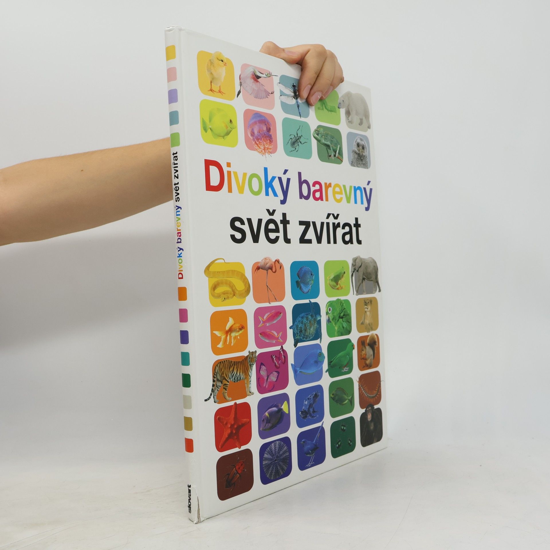 Anita Ganeri Divoký barevný svět zvířat