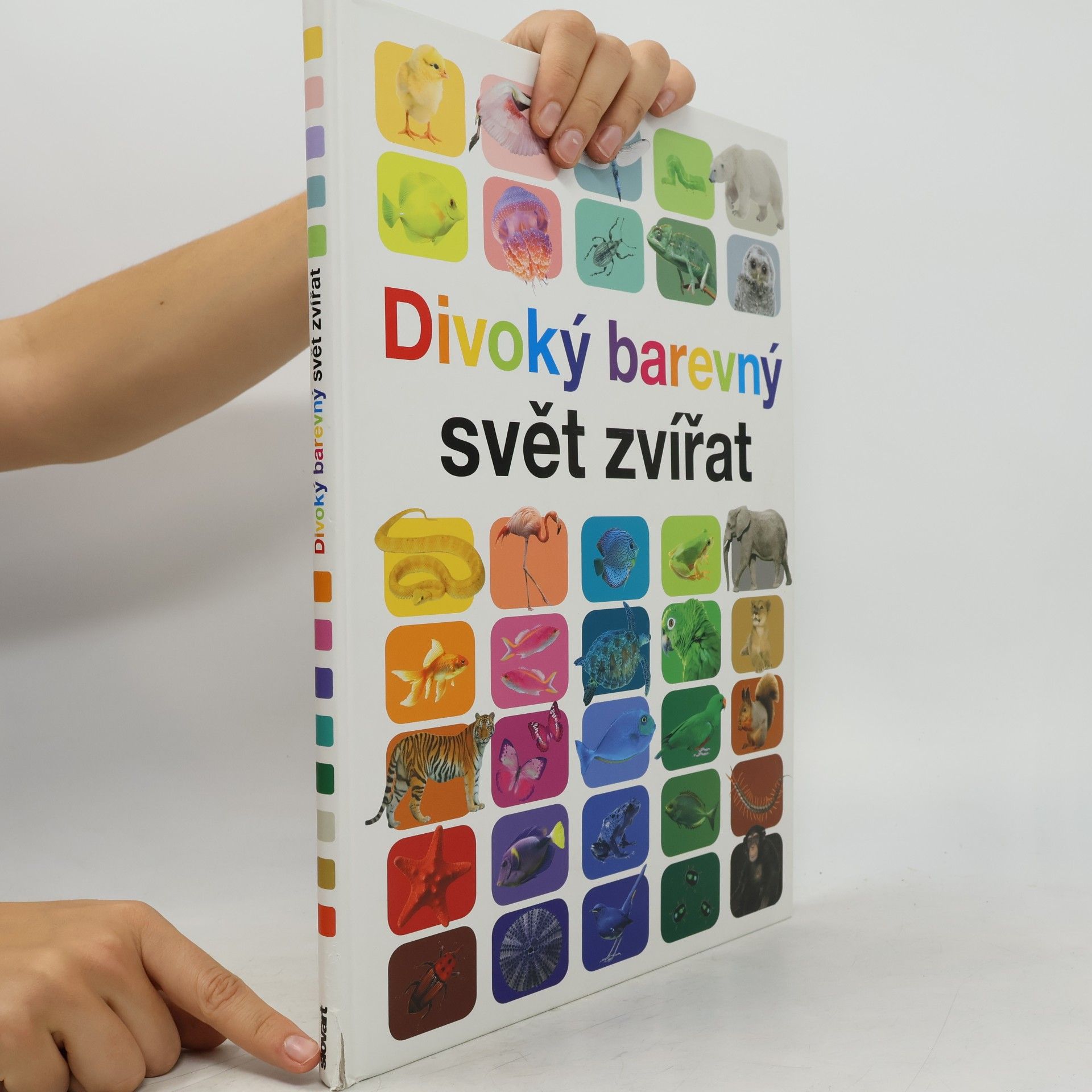 Anita Ganeri Divoký barevný svět zvířat