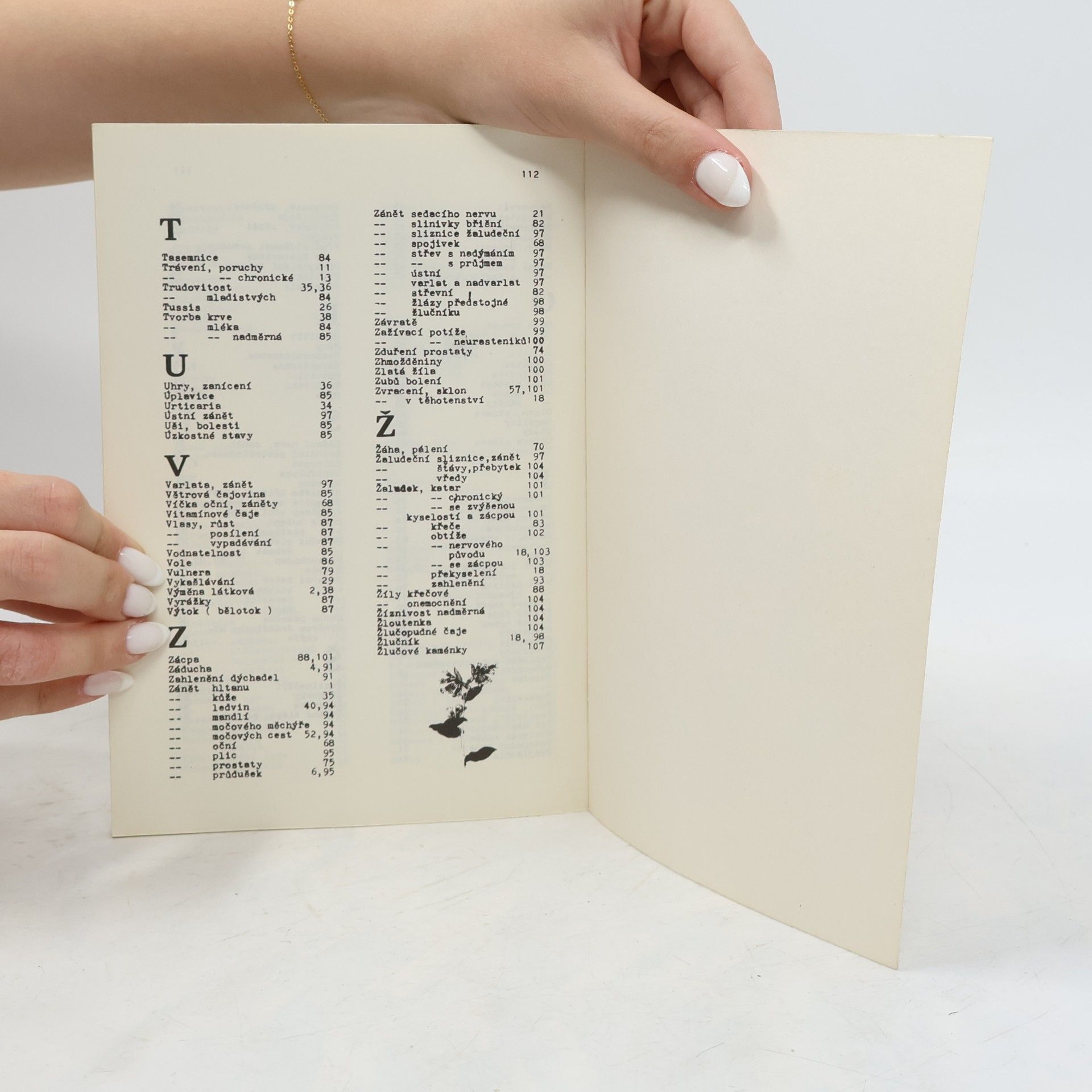 Collectif d'auteurs Receptář léčivých čajů