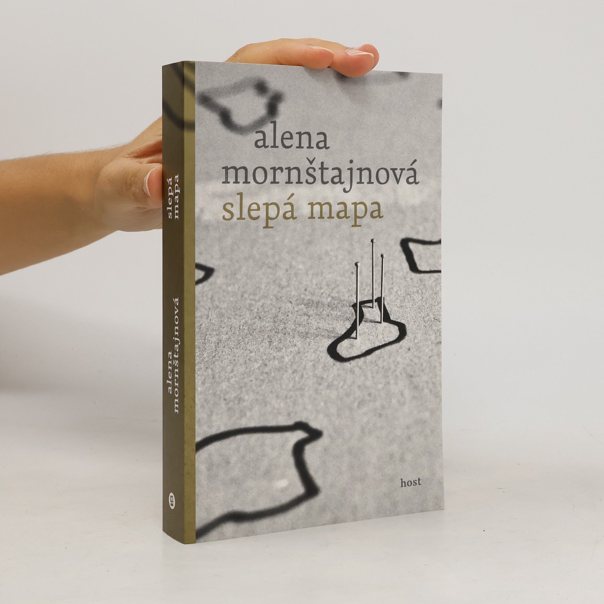 Alena Mornštajnová Slepá mapa