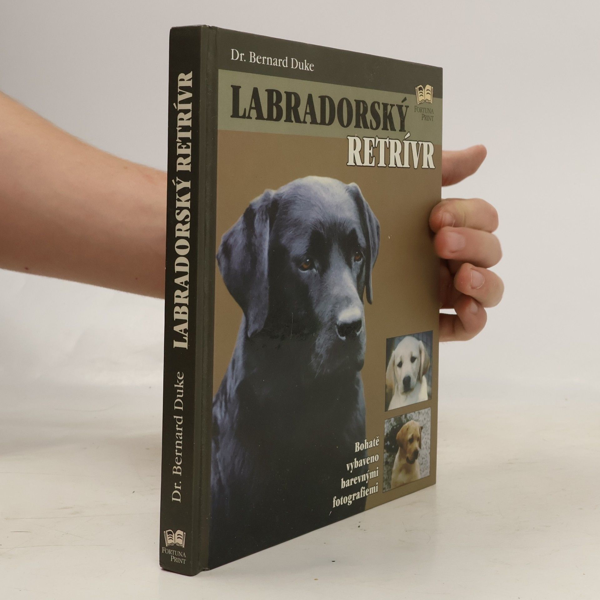 Bernard Duke Labradorský retrívr