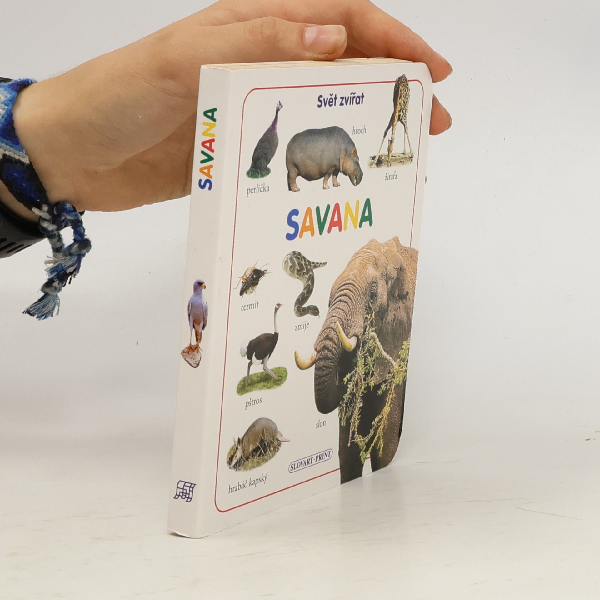 Kolektiv autorů Savana