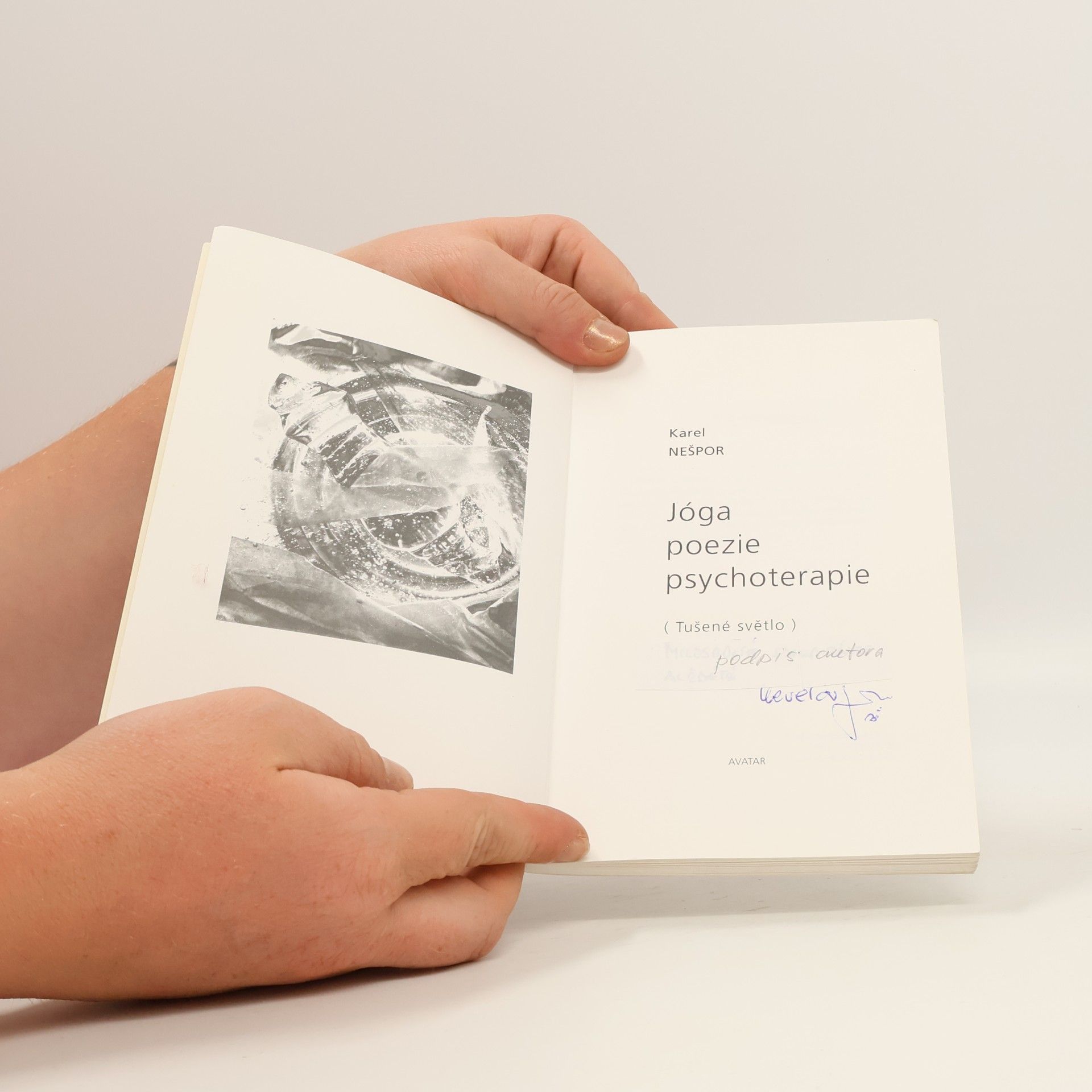 Karel Nešpor Jóga, poezie, psychoterapie