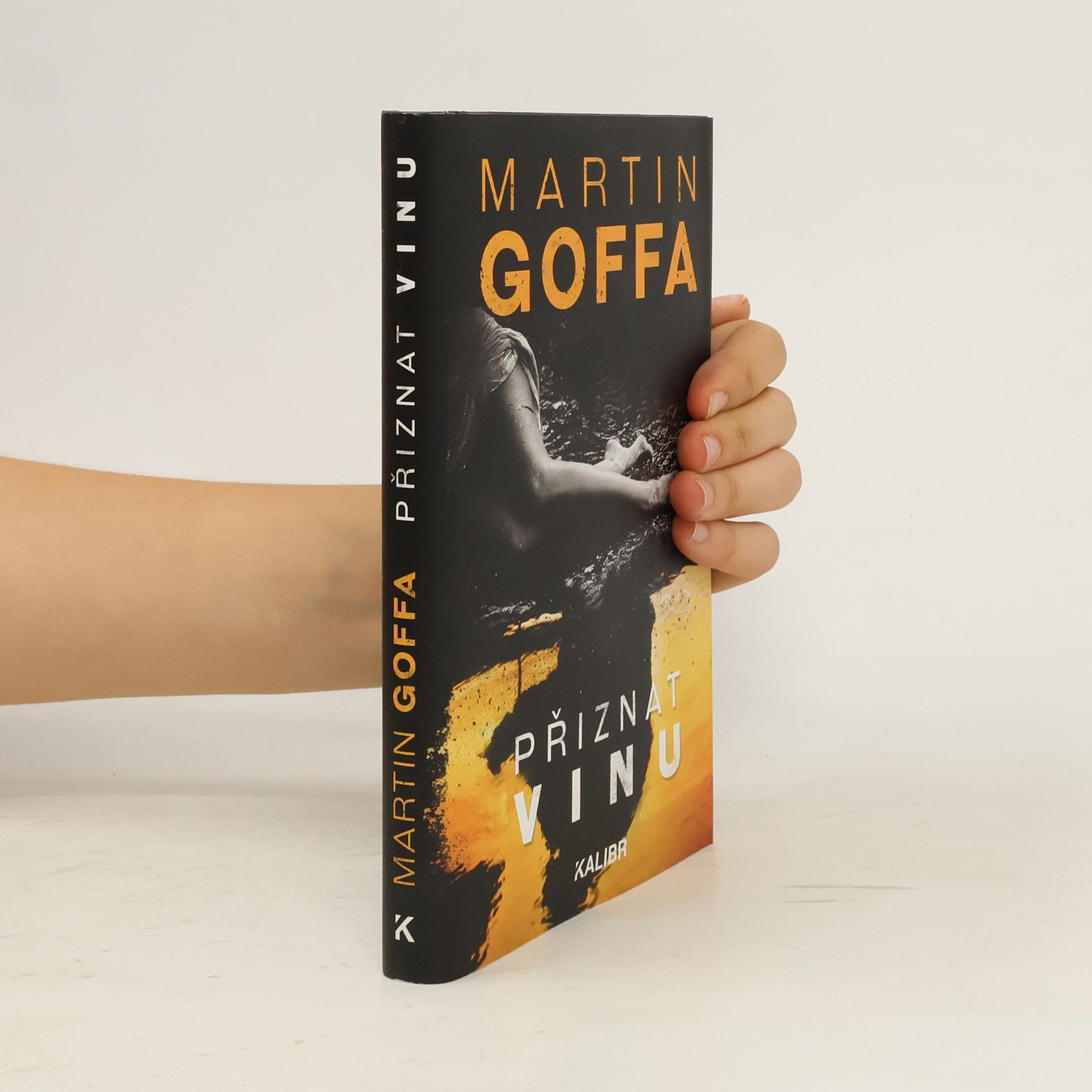 Martin Goffa Přiznat vinu