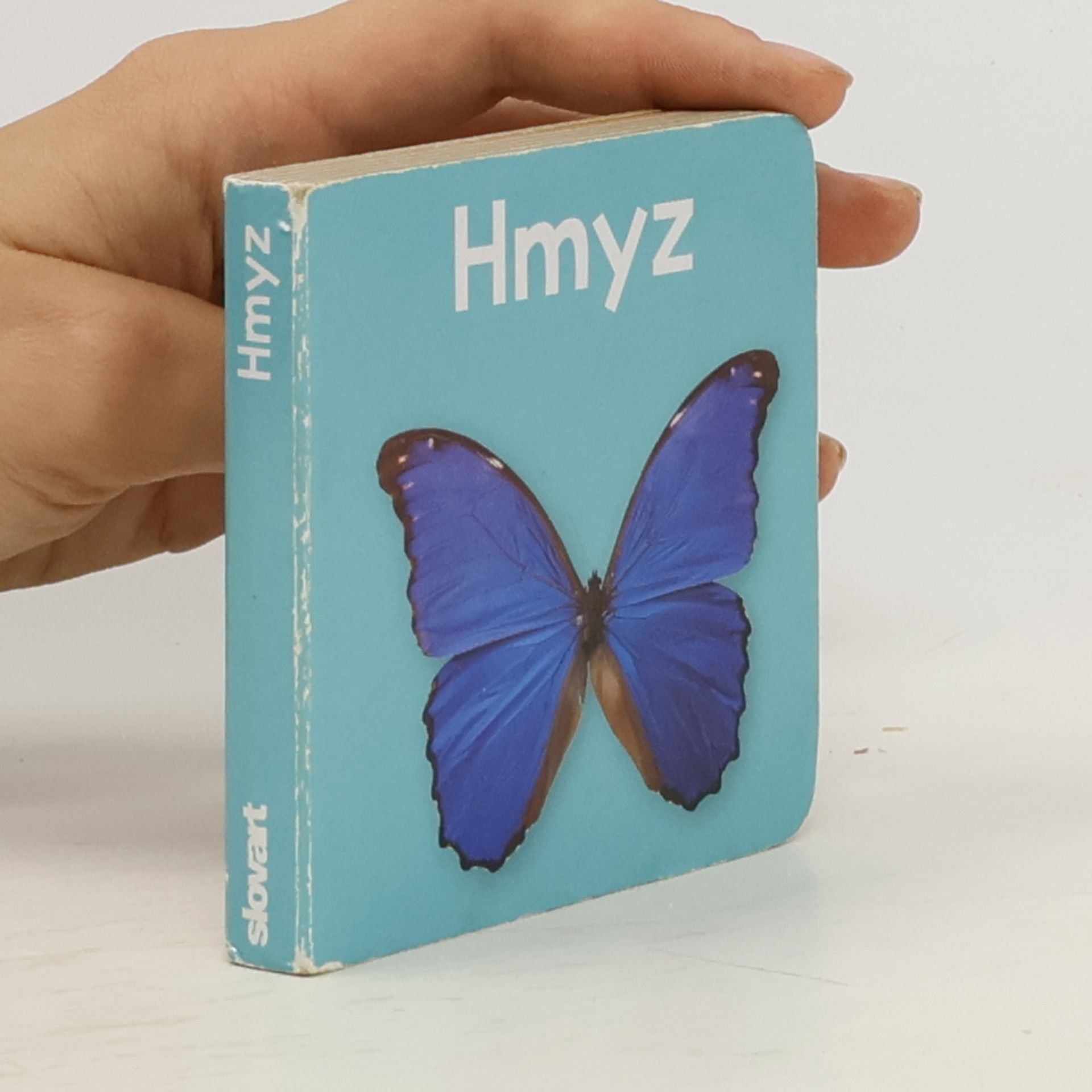Autorenkollektiv Hmyz