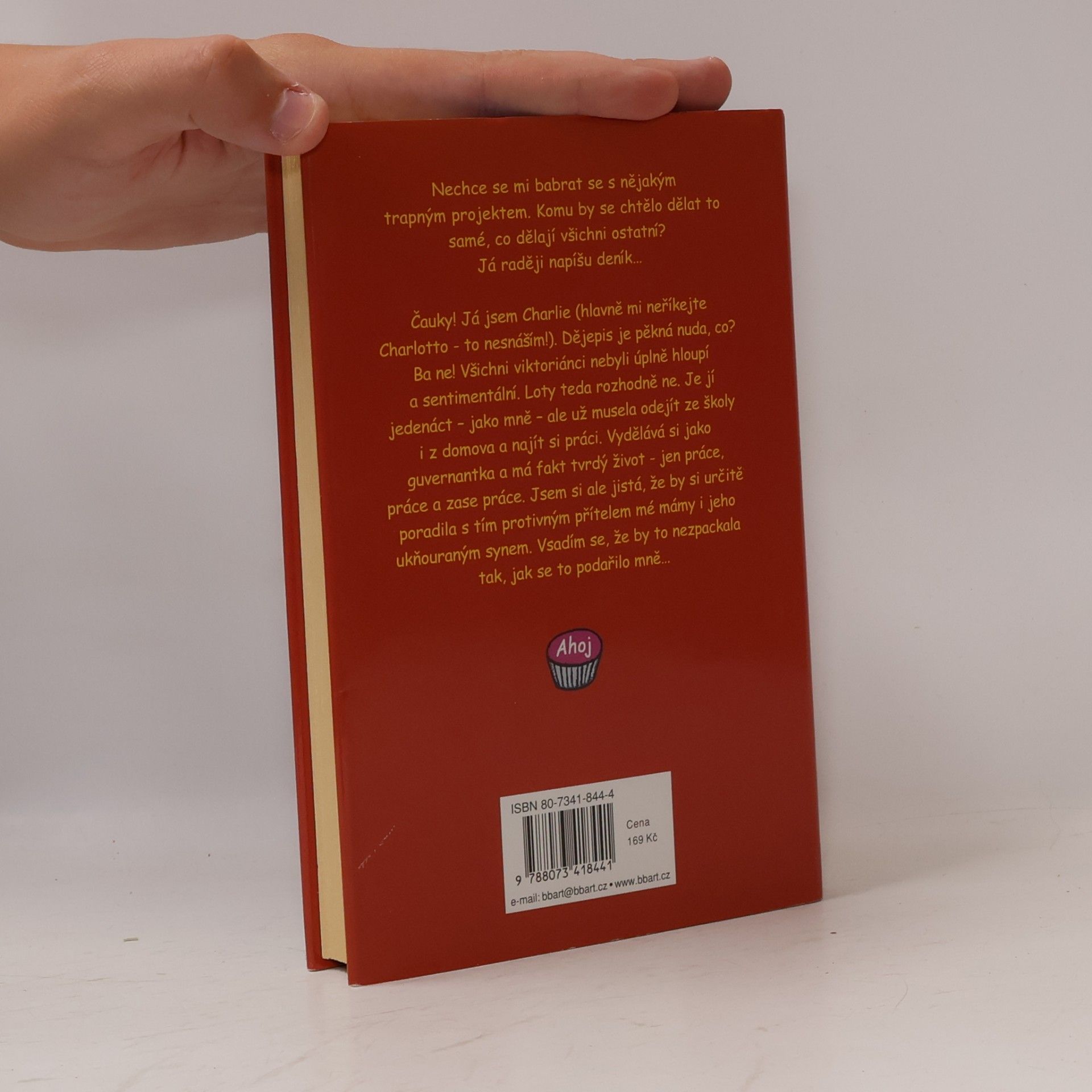 Jacqueline Wilson Projekt Loty