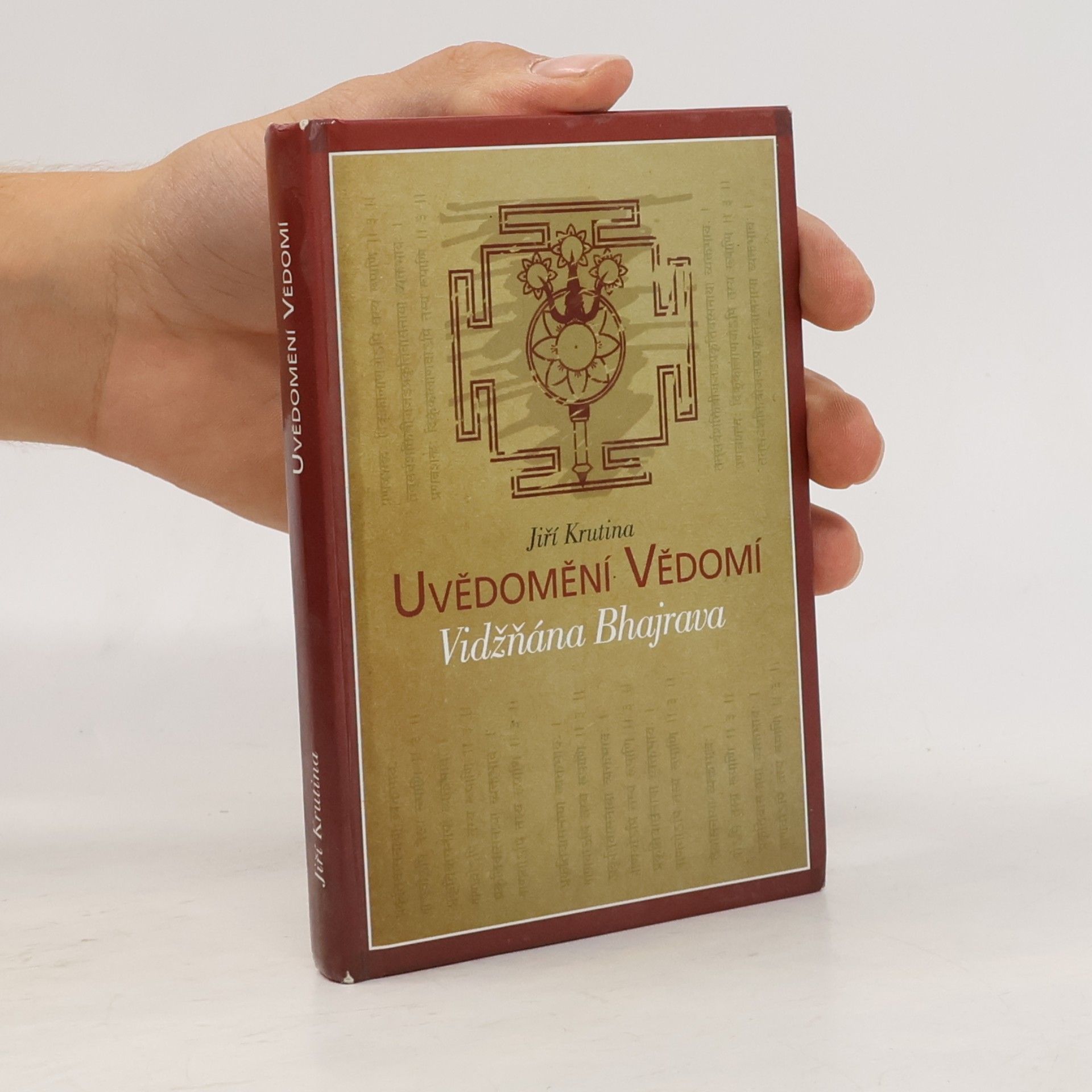 Jiří Krutina Uvědomění vědomí