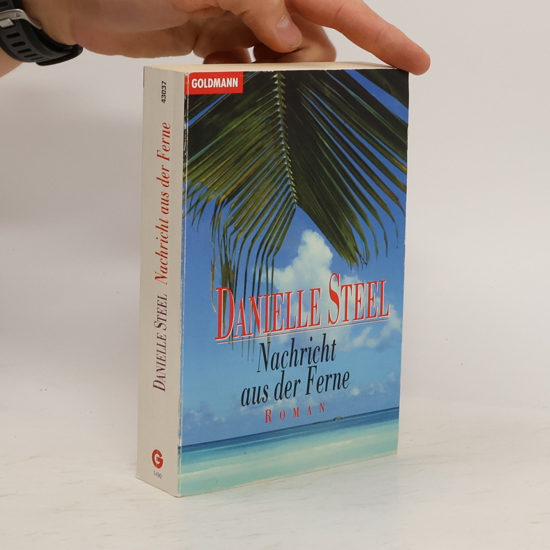 Danielle Steel Nachricht aus der Ferne