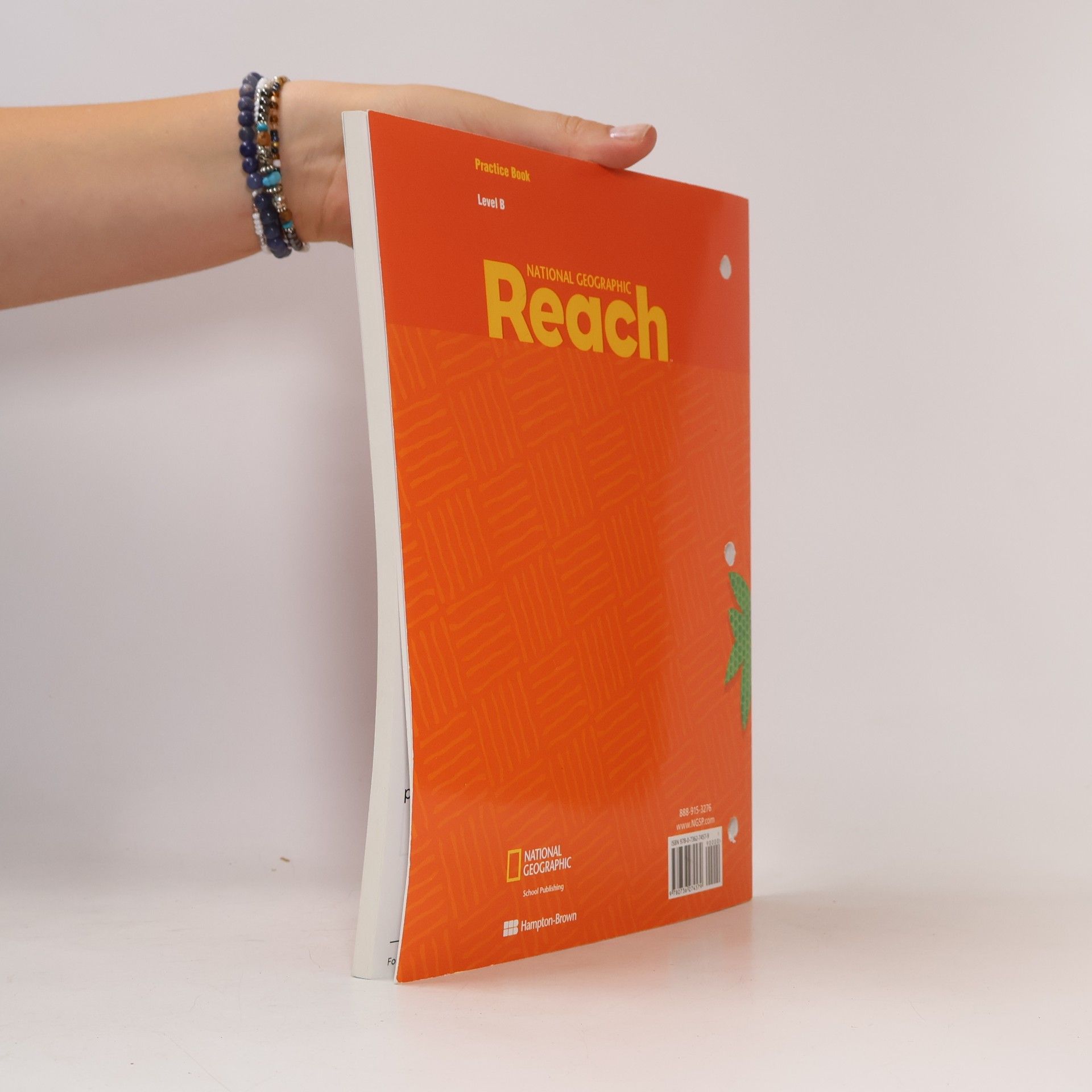 Nancy Frey Reach B
