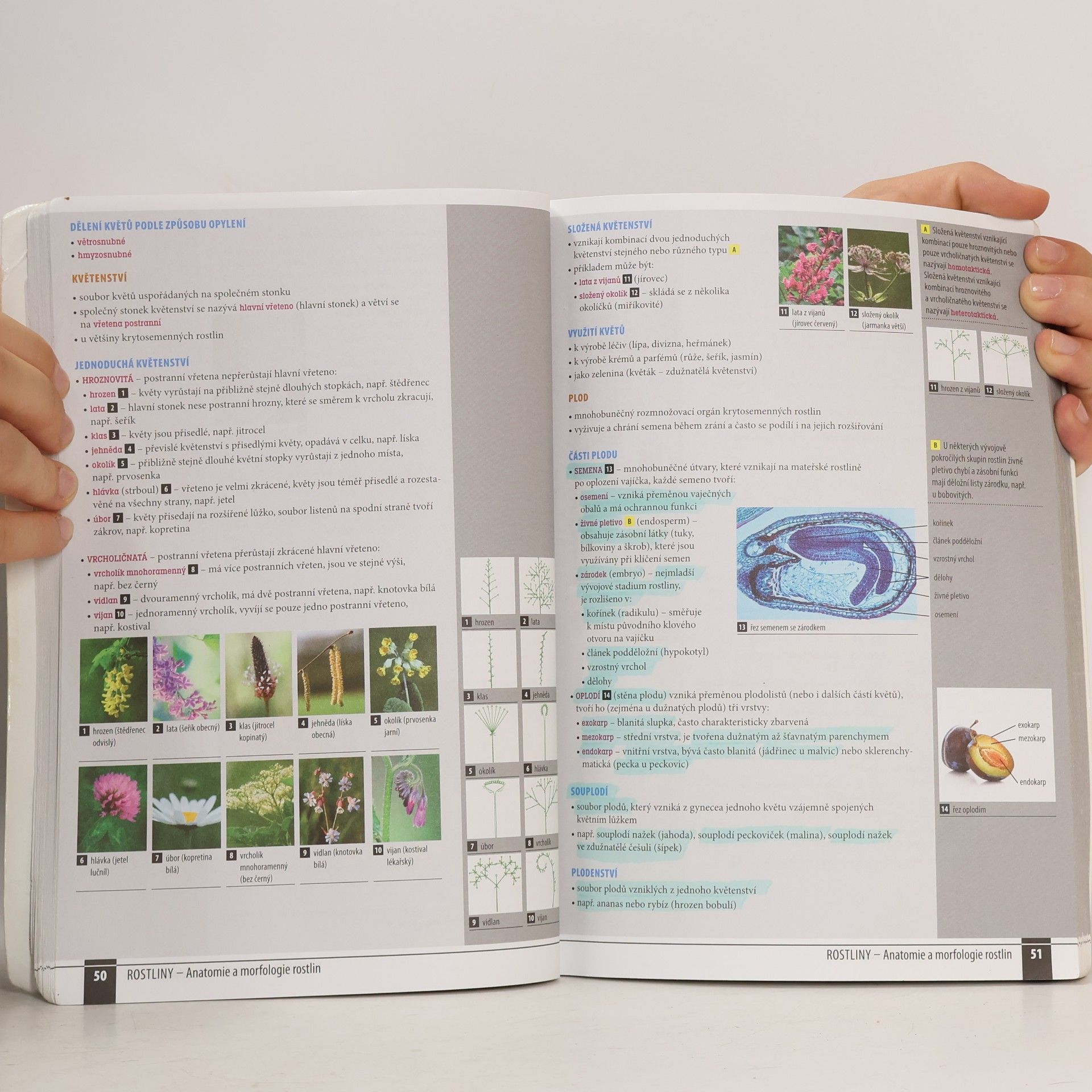 Autorenkollektiv Odmaturuj! z biologie