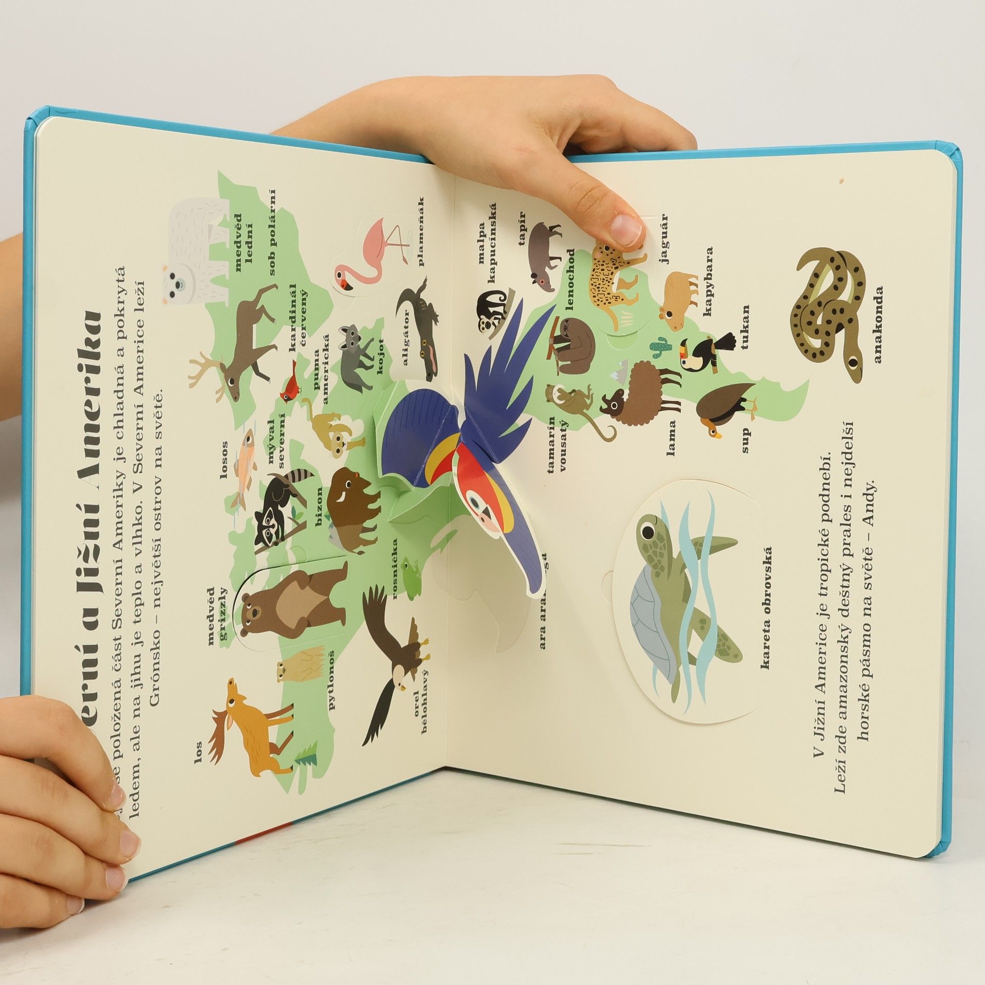 Ingela Peterson Arrhenius Atlas zvířat