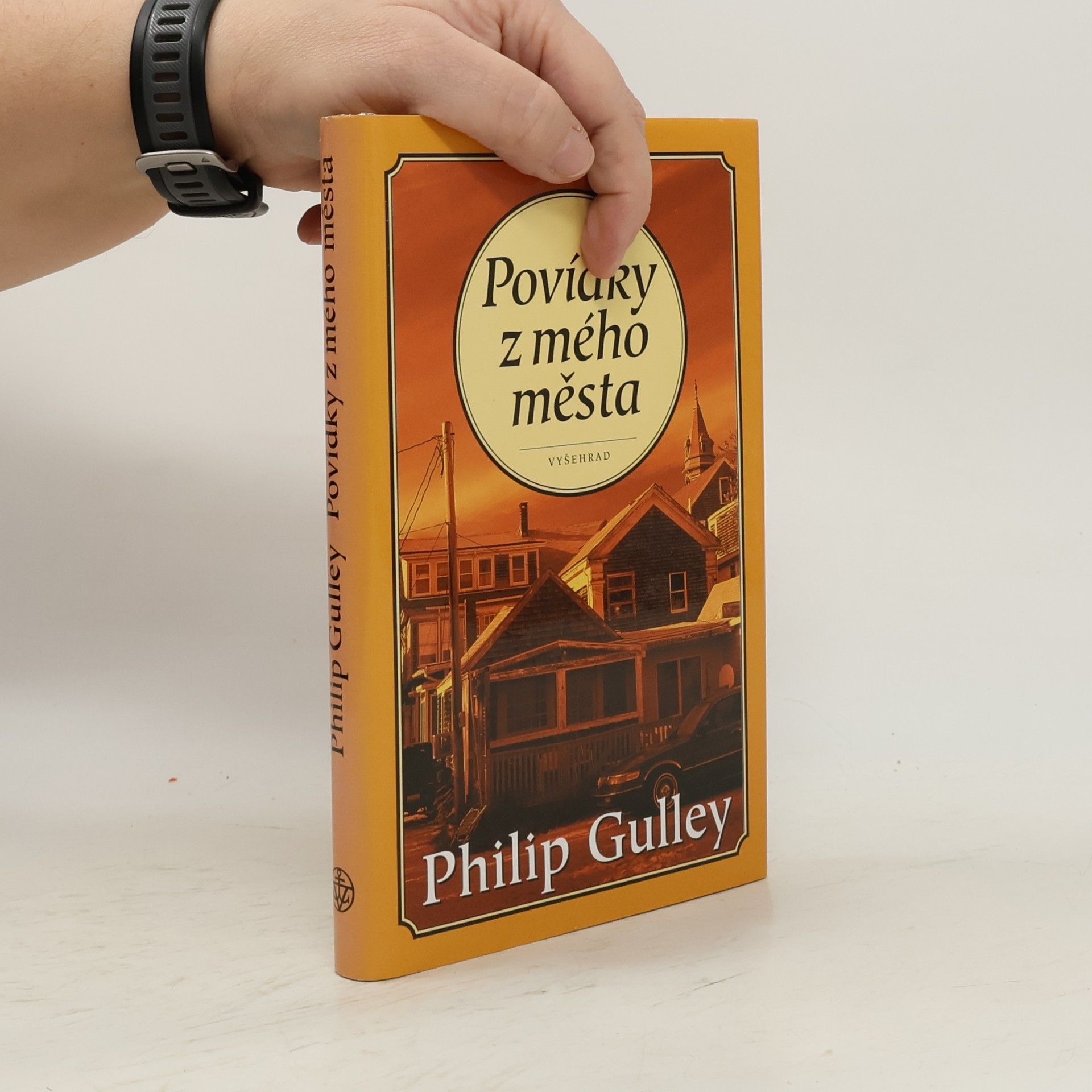 Gulley Philip Povídky z mého města