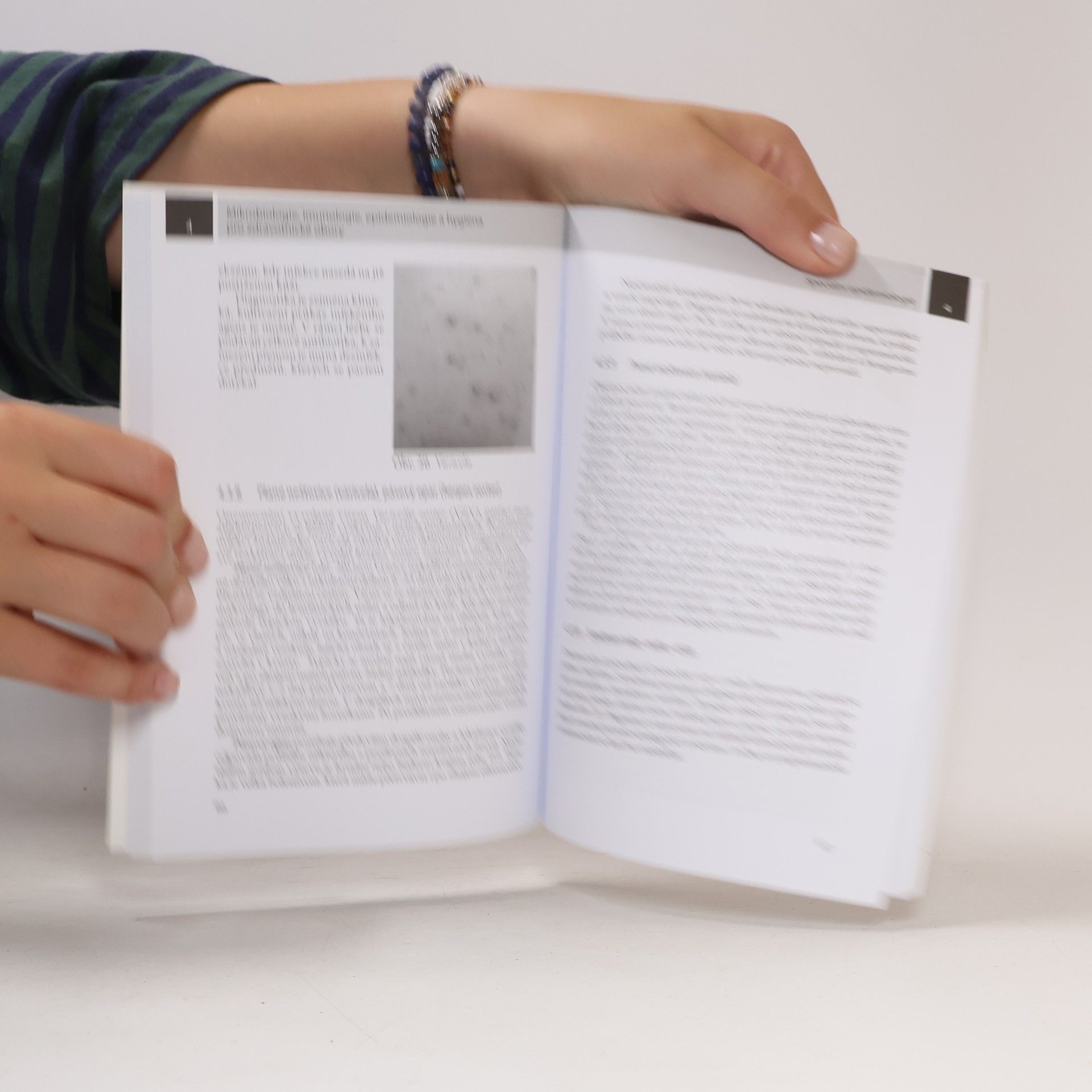 Barbora Drnková Mikrobiologie, imunologie, epidemiologie a hygiena