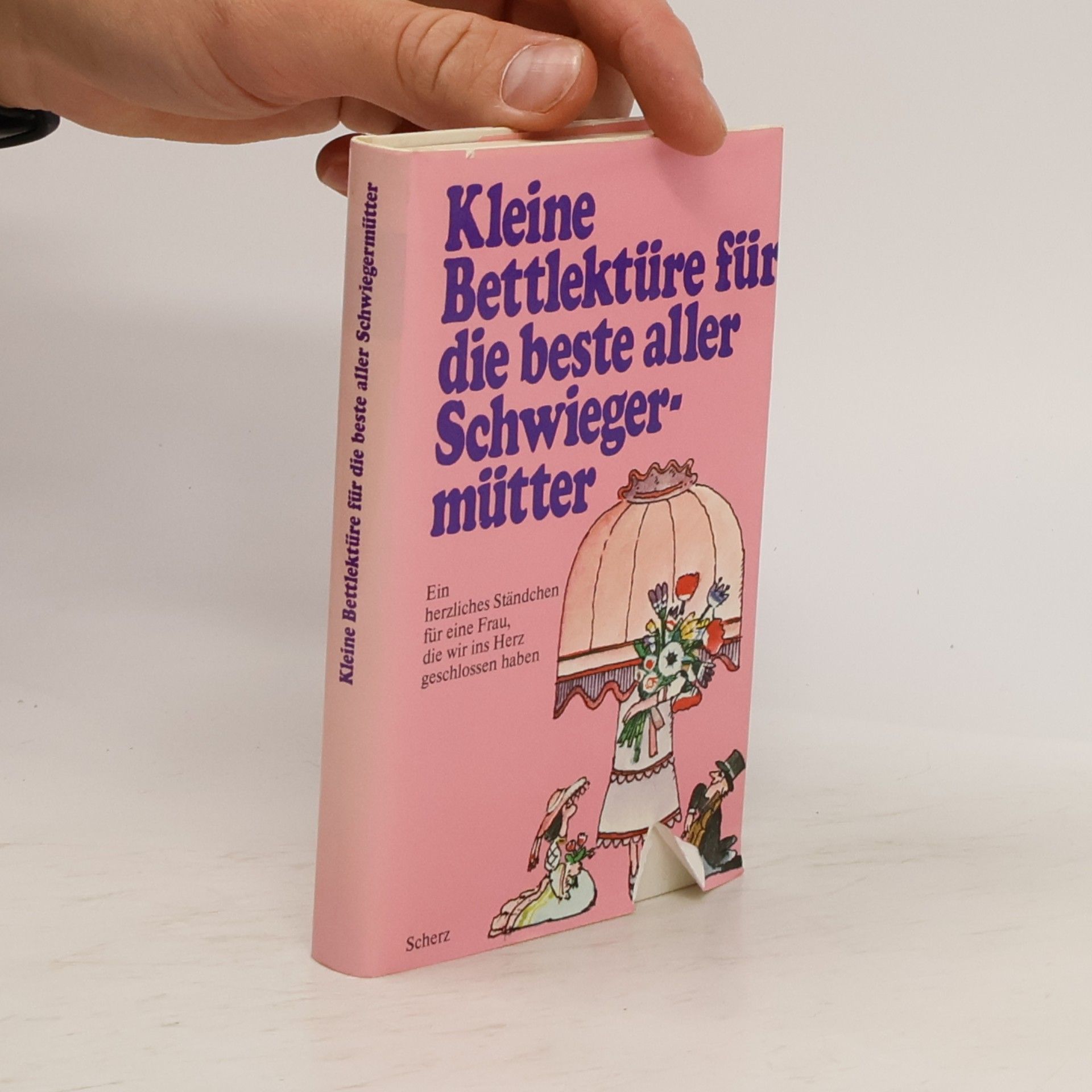 Autorenkollektiv Kleine Bettlektüre für die beste aller Schwiegermütter