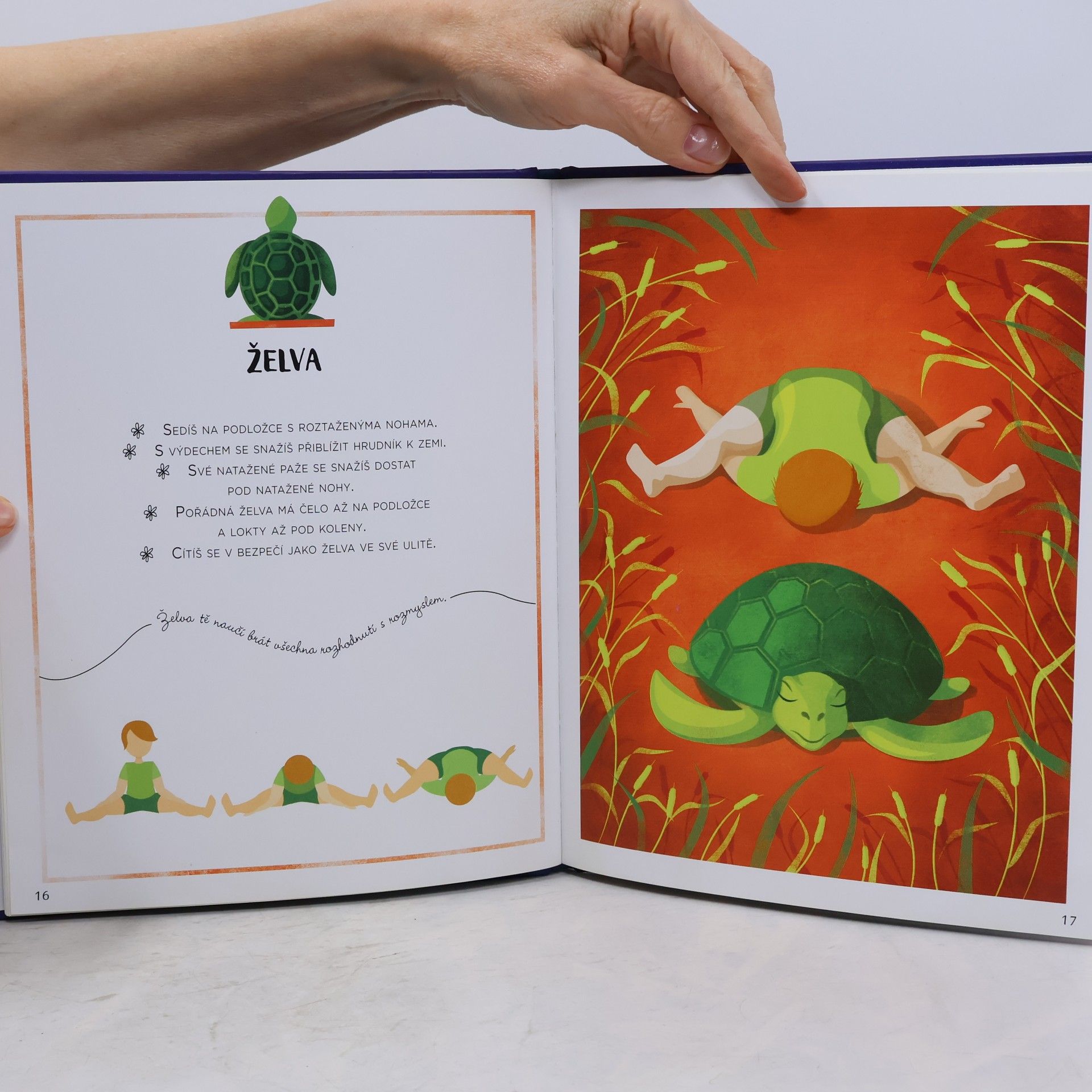 Lorena V. Pajalunga Hravá jóga - Základní jógová abeceda, jak ji cvičí zvířátka