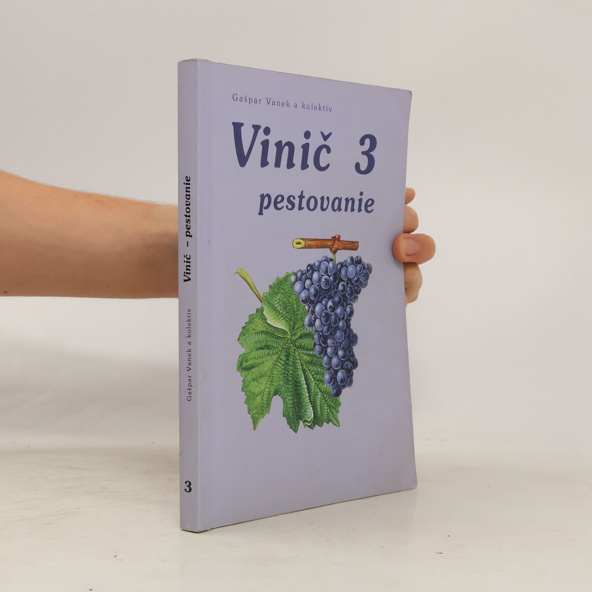 Vinič