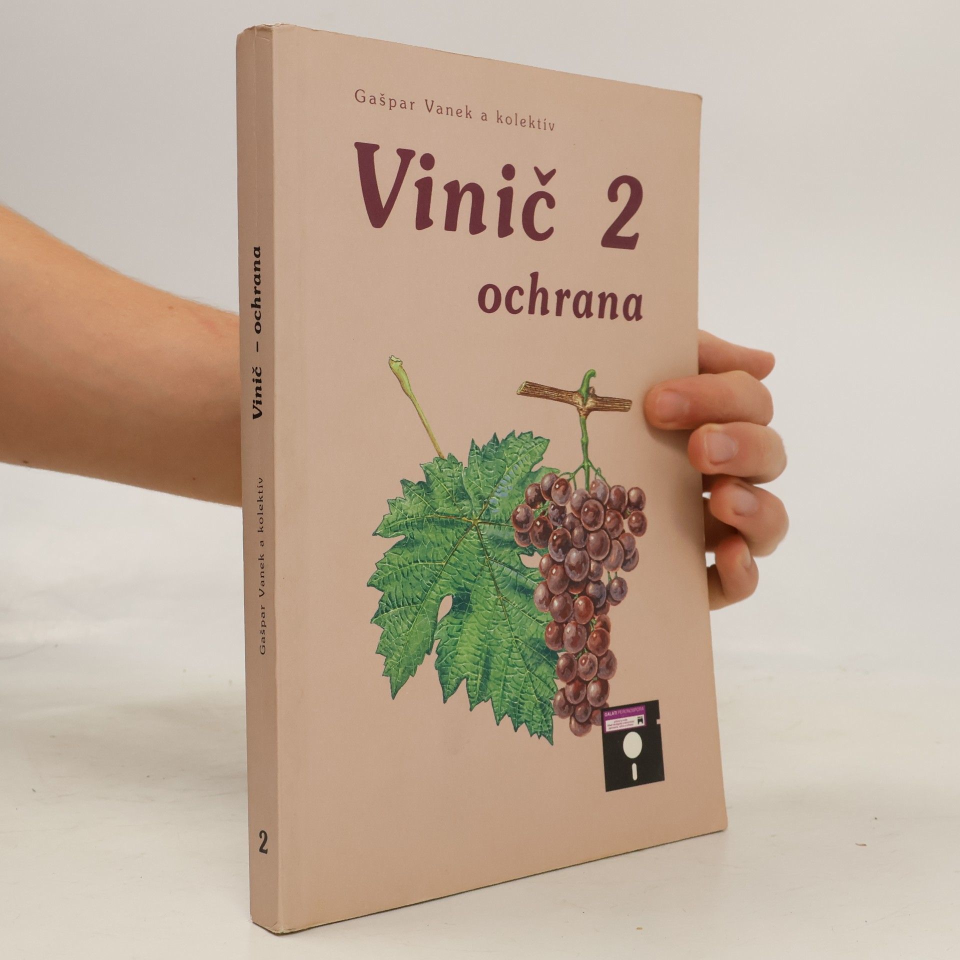 Vinič 2. Ochrana