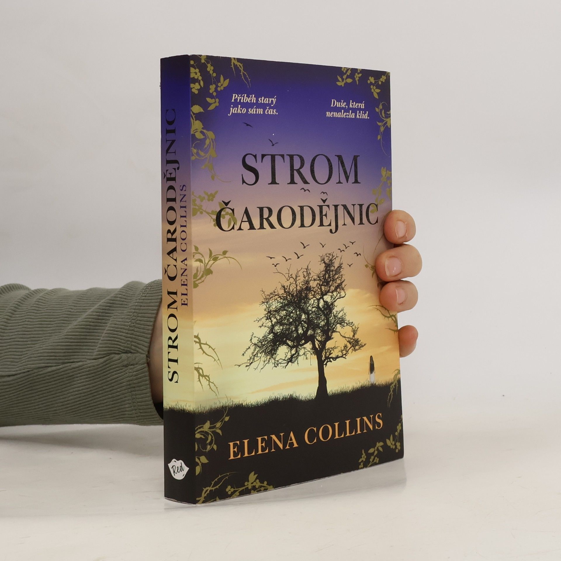 Judy Leigh Strom čarodějnic