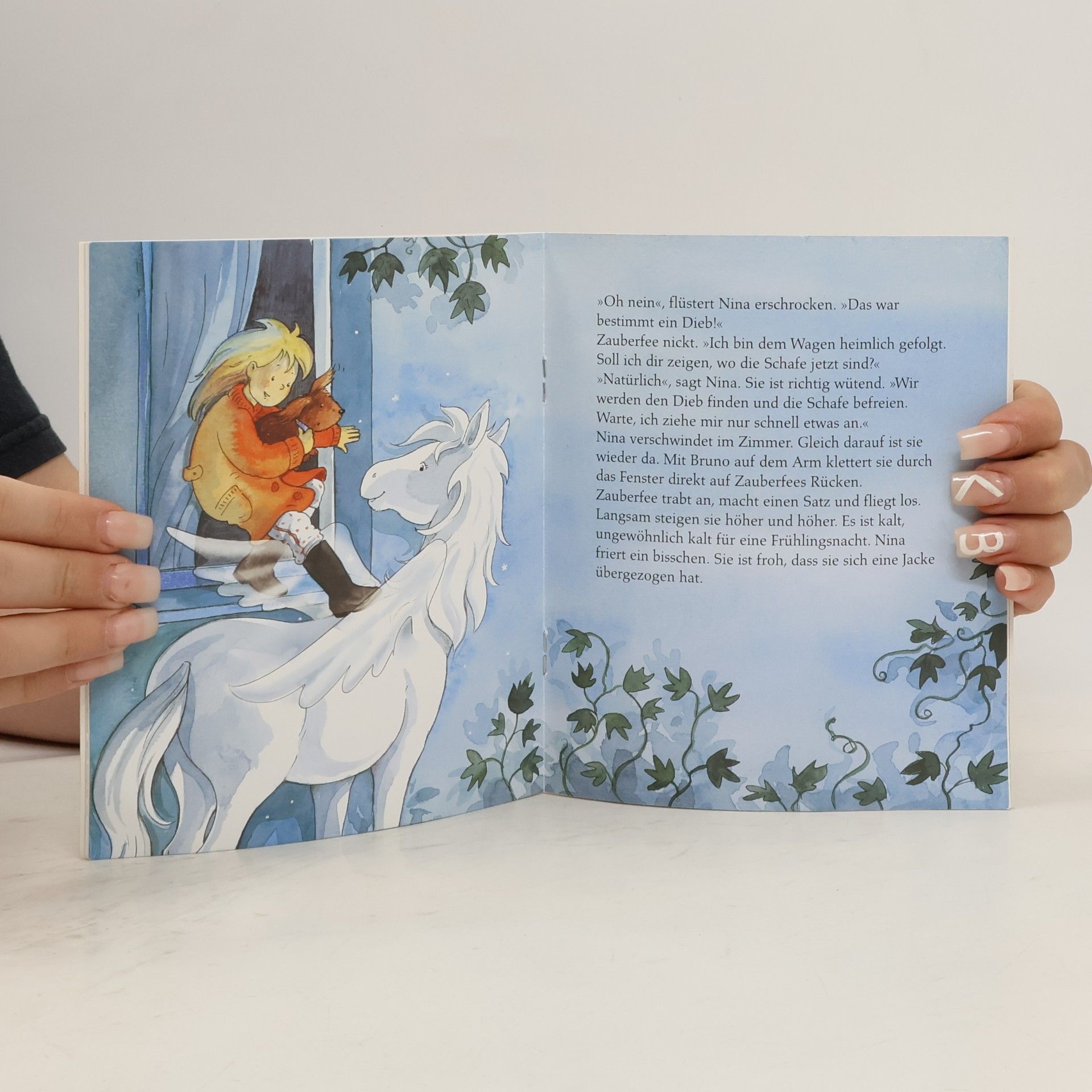 Various authors Pony Zauberfee