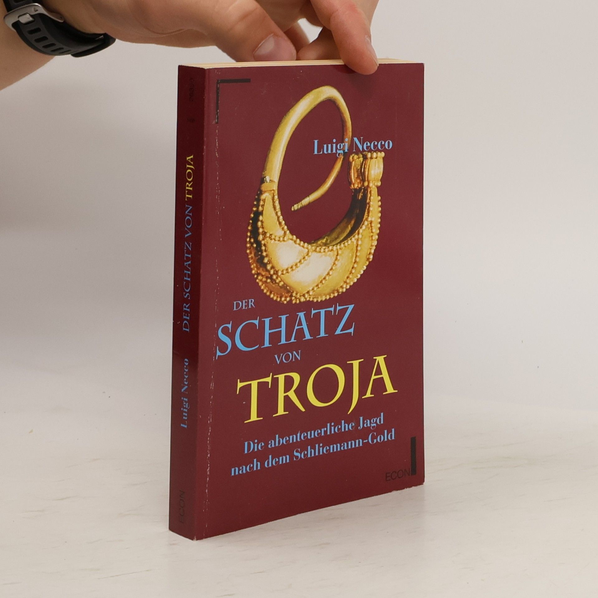 Luigi Necco Der Schatz von Troja