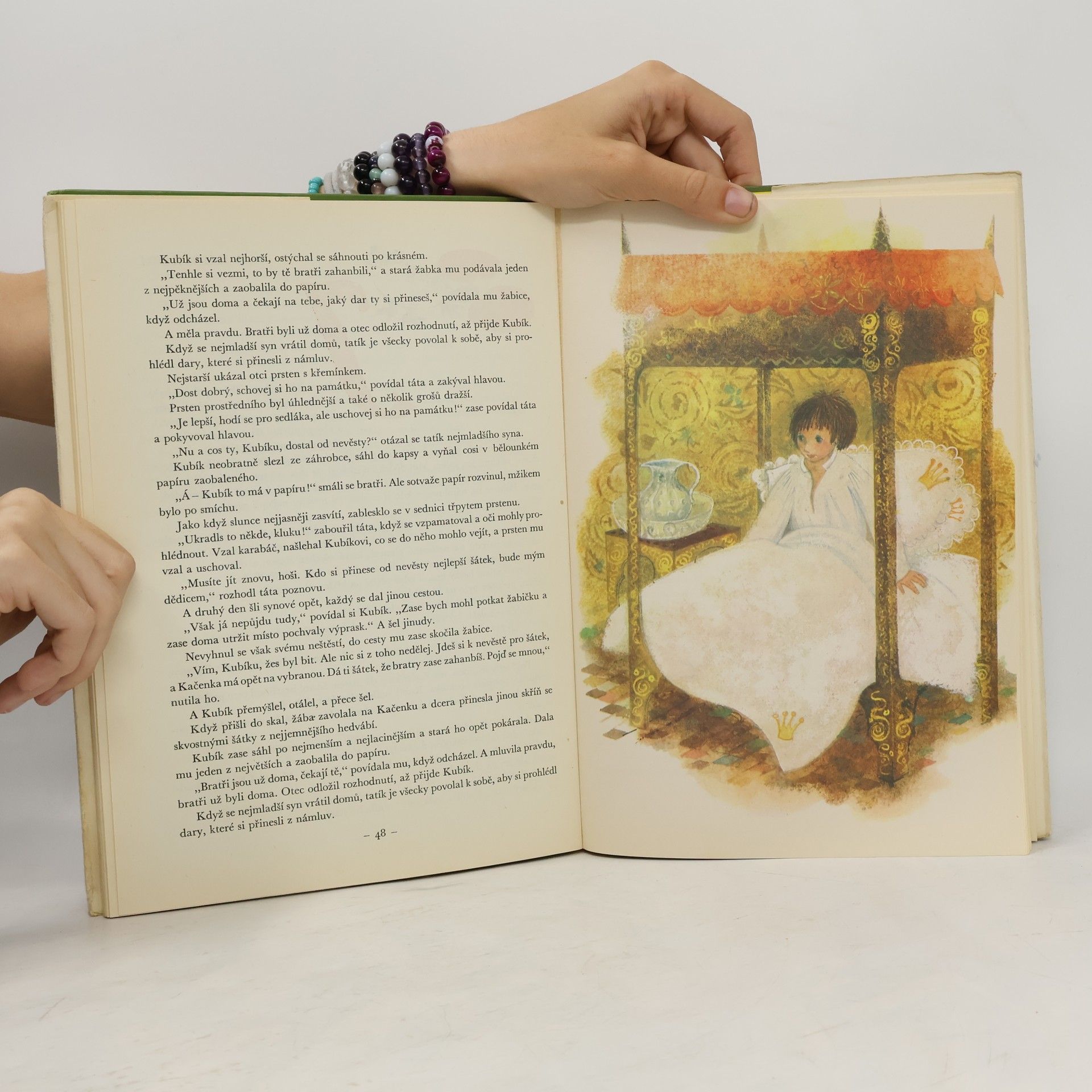 Marie Řepková Pohádky Václava Beneše Třebízského