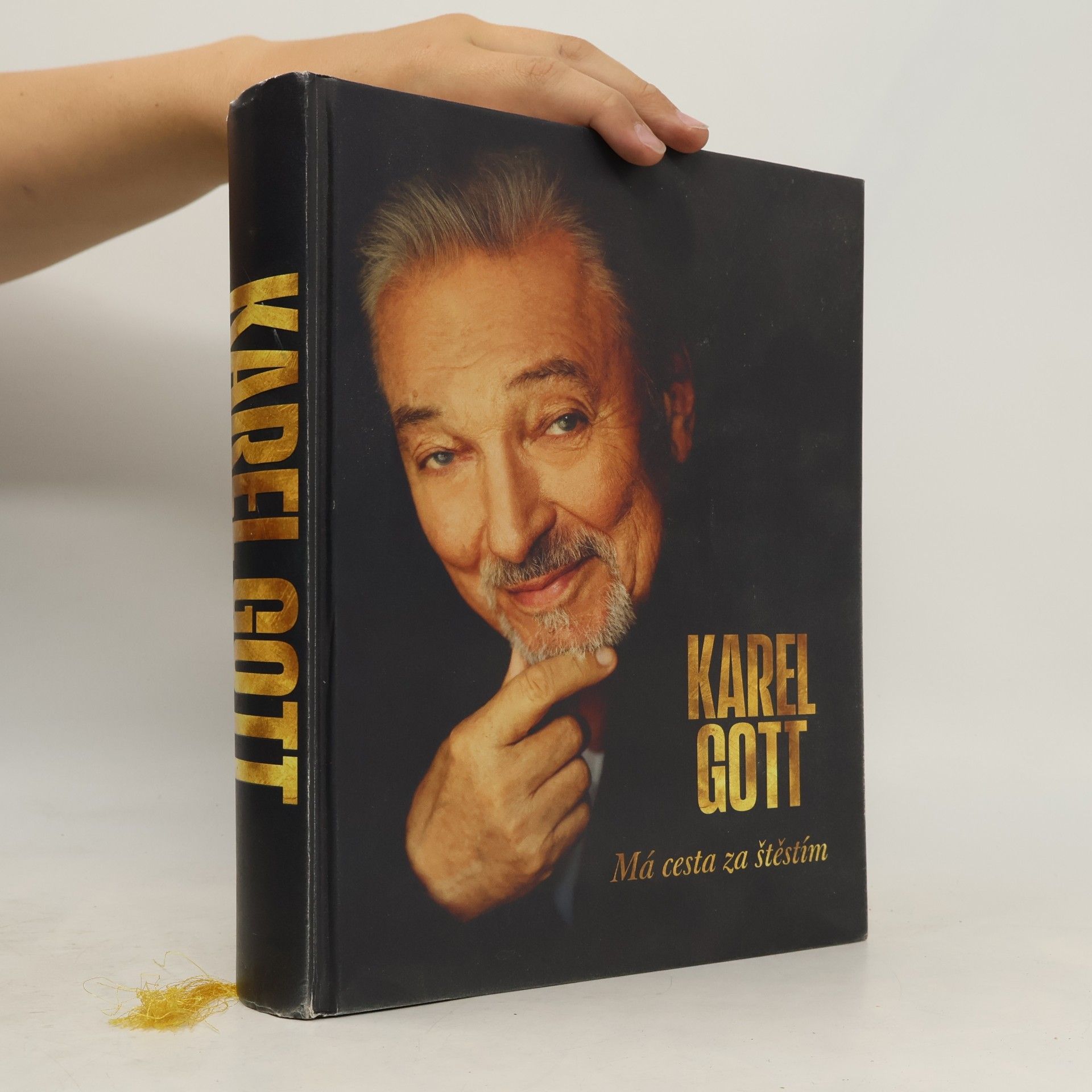 Karel Gott Má cesta za štěstím