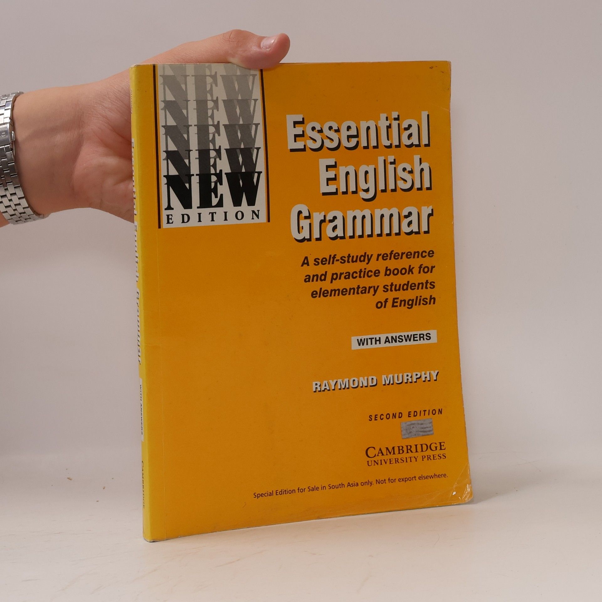 Raymond Murphy Essential English Grammar