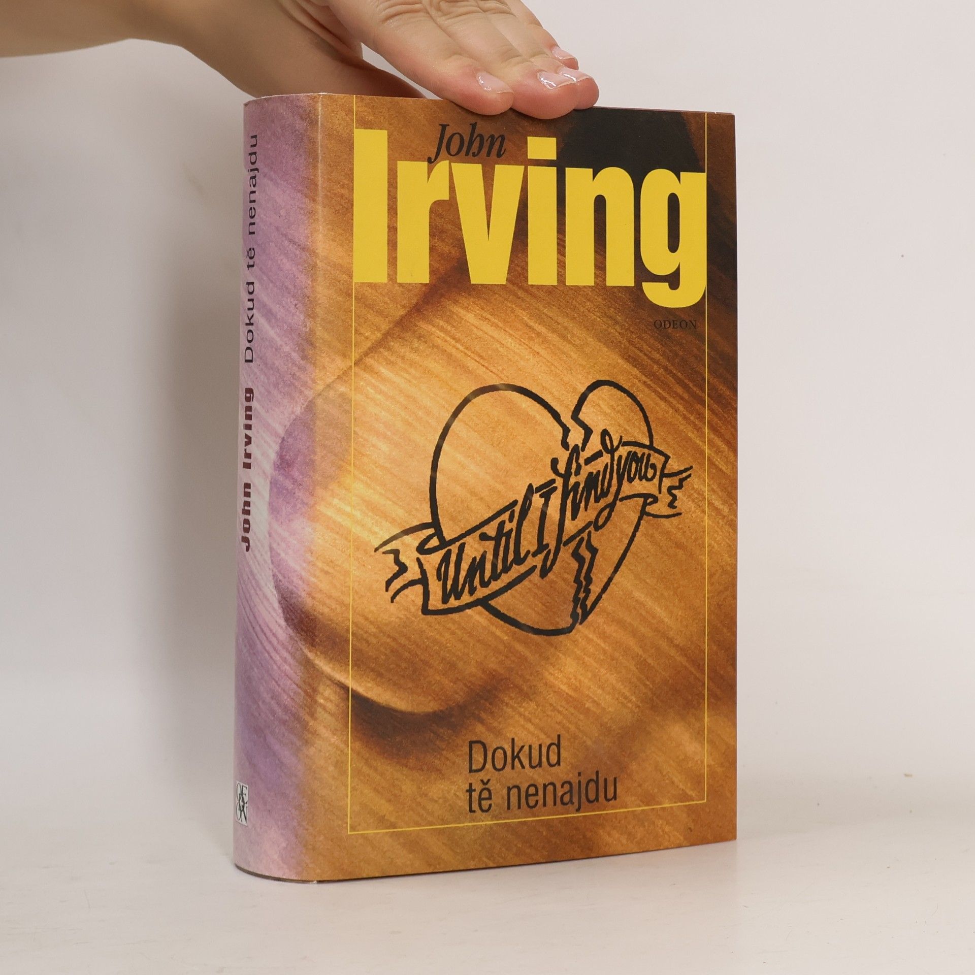 John Irving Dokud tě nenajdu