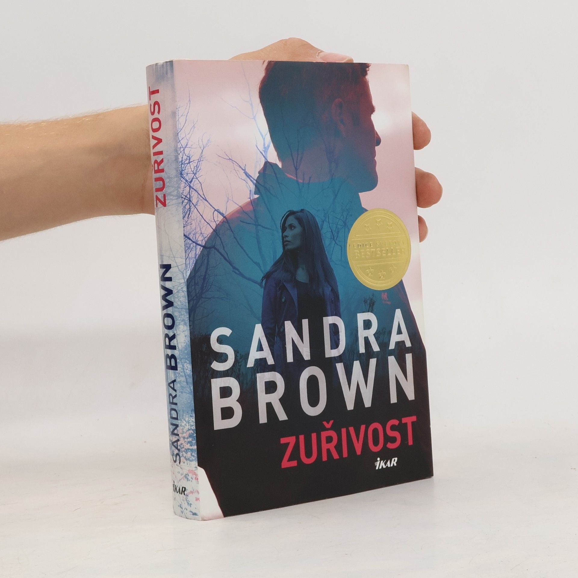 Sandra Brown Zuřivost