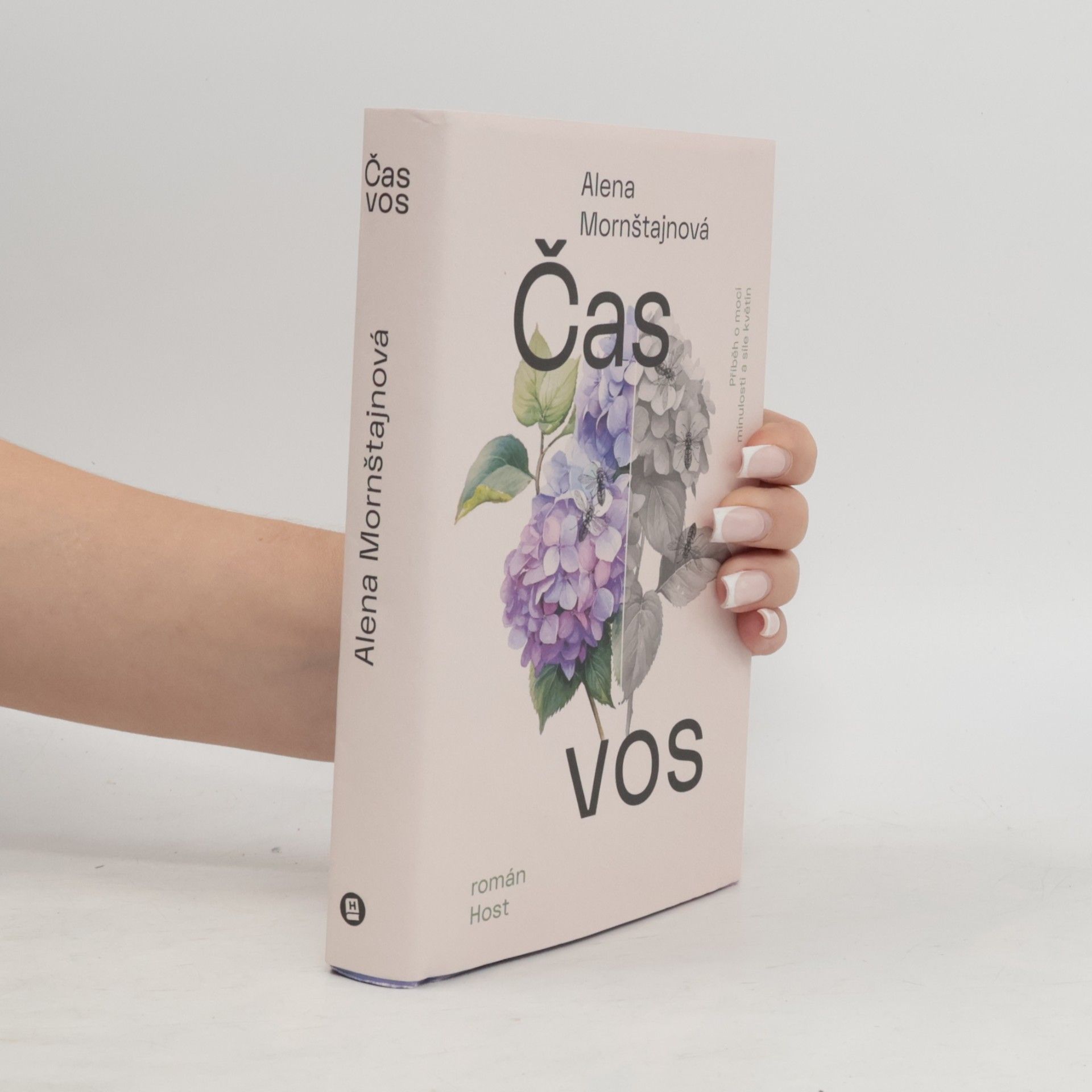 Alena Mornštajnová Čas vos