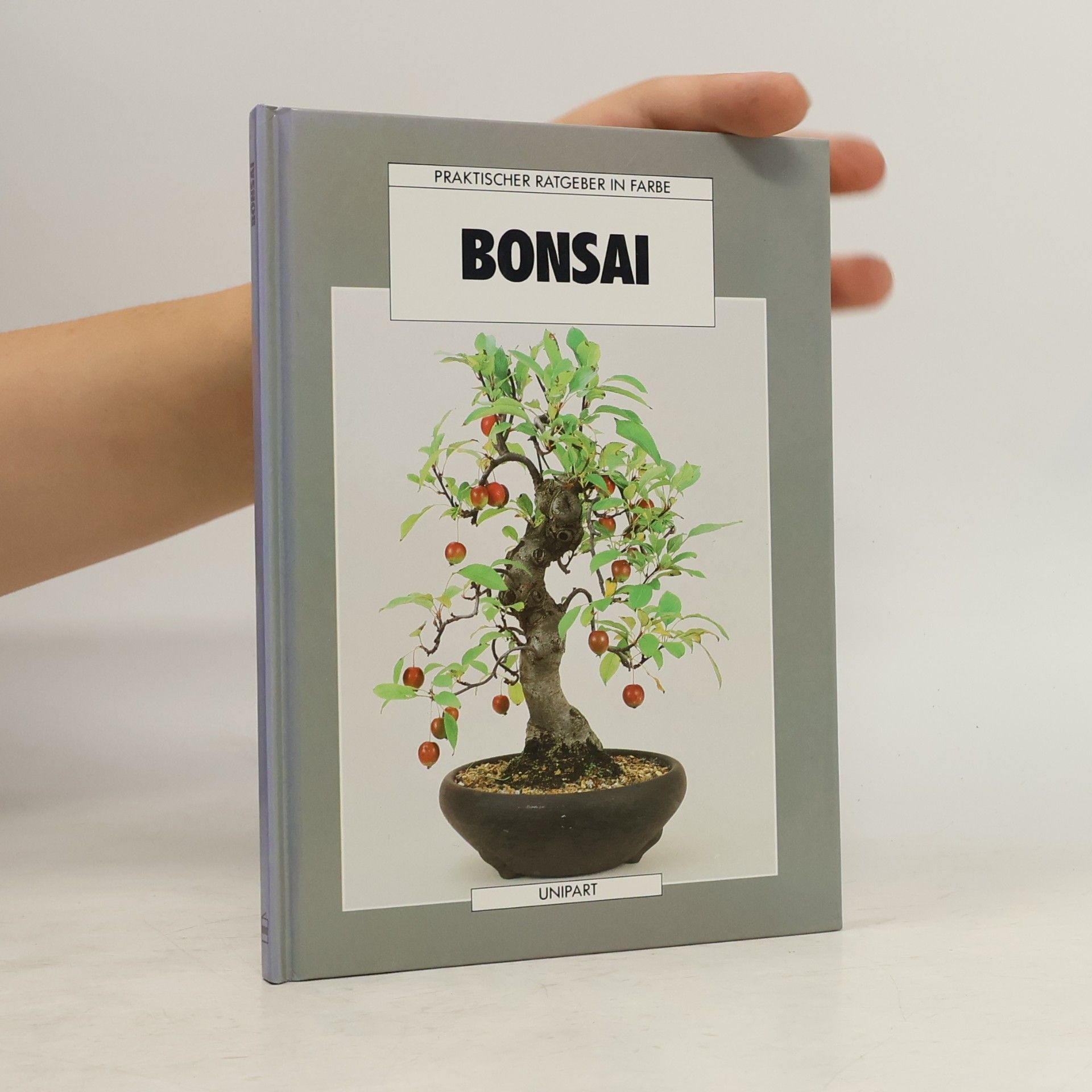 Anne Swinton Bonsai