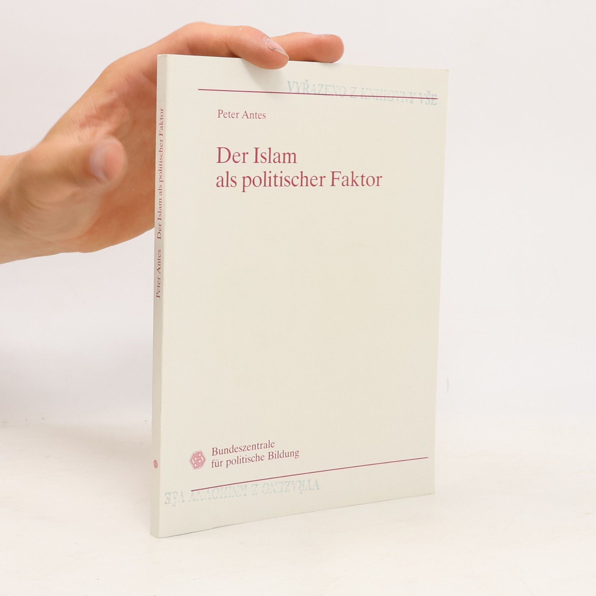 Der Islam als politischer Faktor