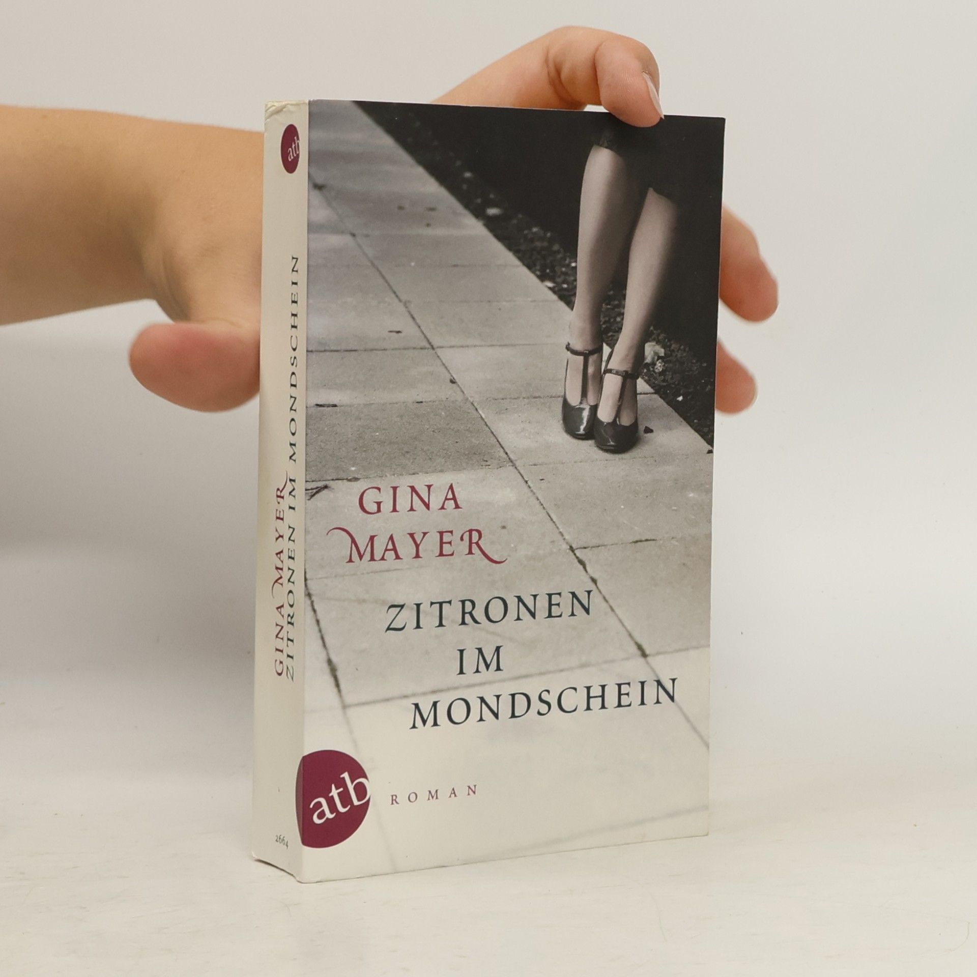 Gina Mayer Zitronen im Mondschein