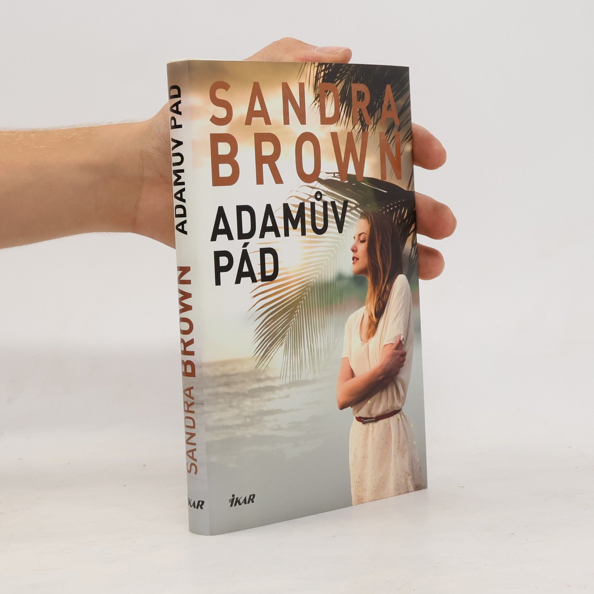 Sandra Brown Adamův pád