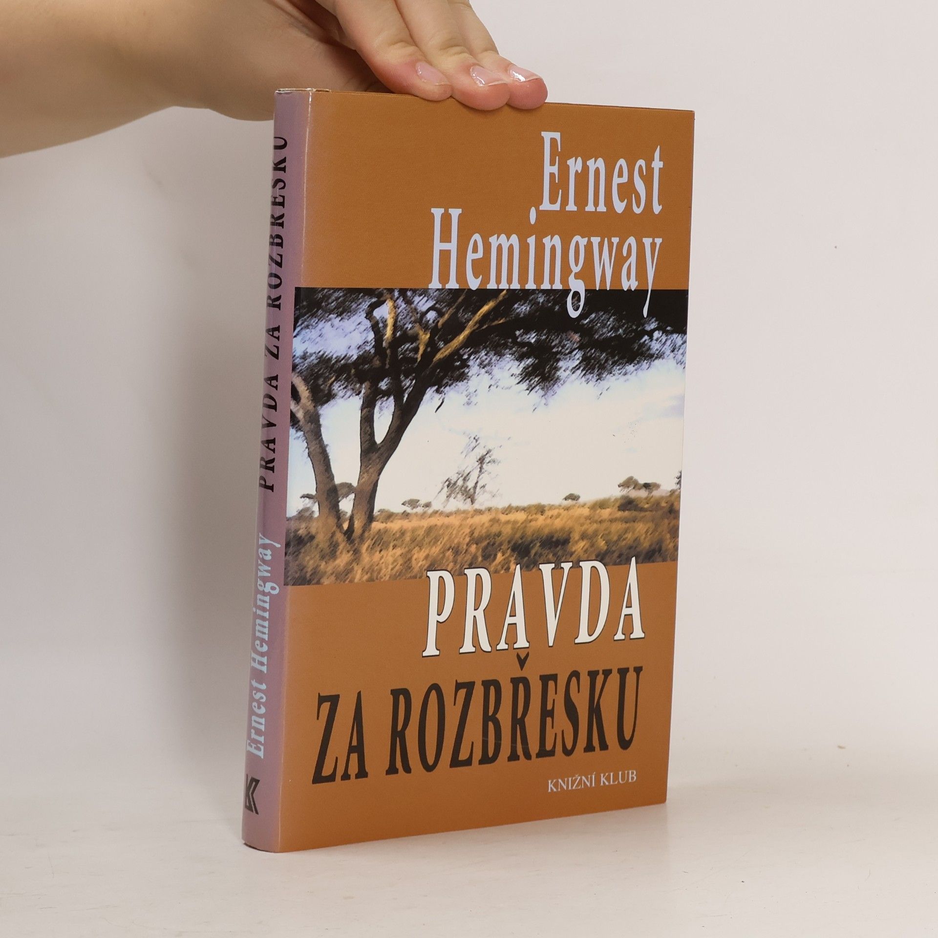 Ernest Hemingway Pravda za rozbřesku
