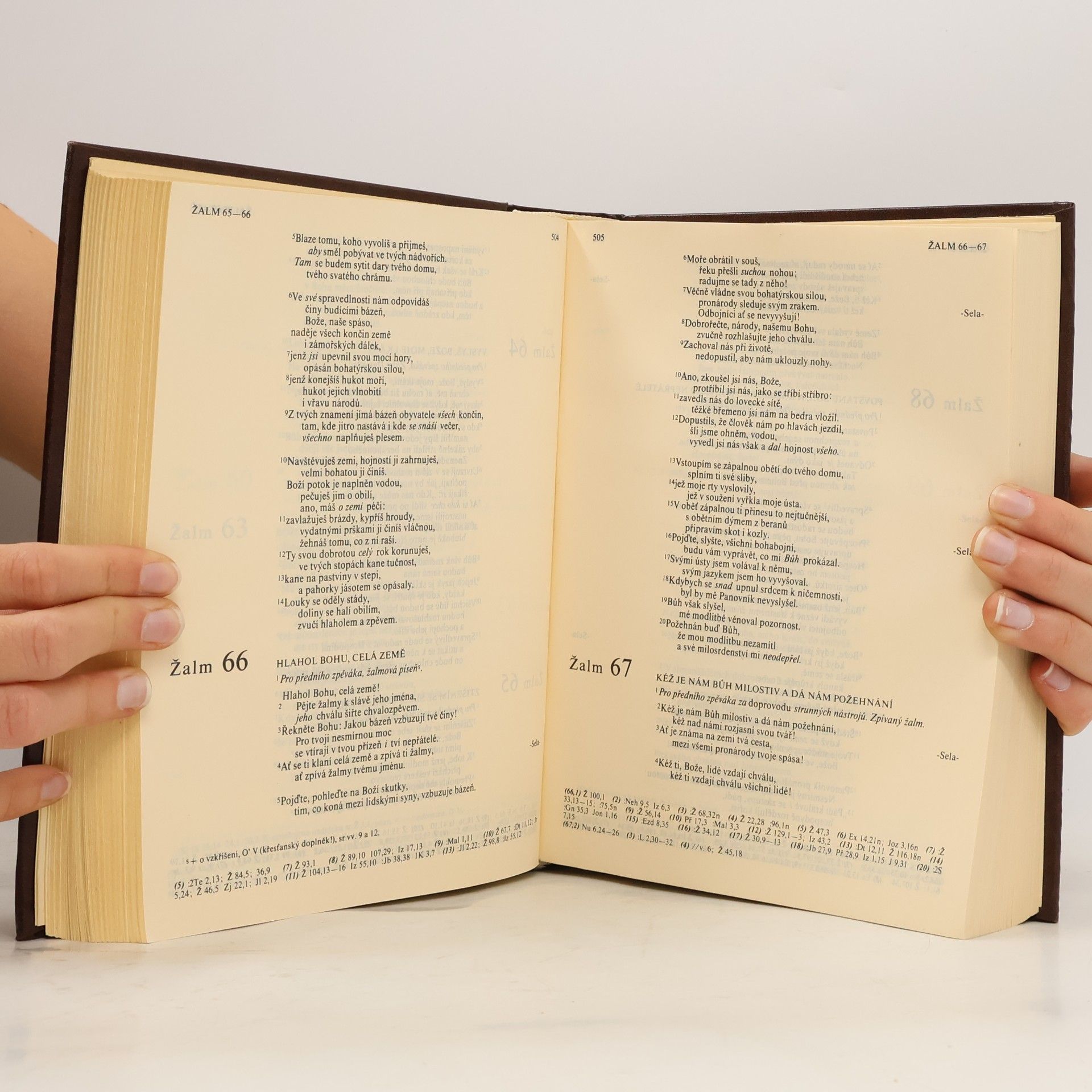 Various authors Bible. Písmo svaté Starého a Nového Zákona. Ekumenický překlad