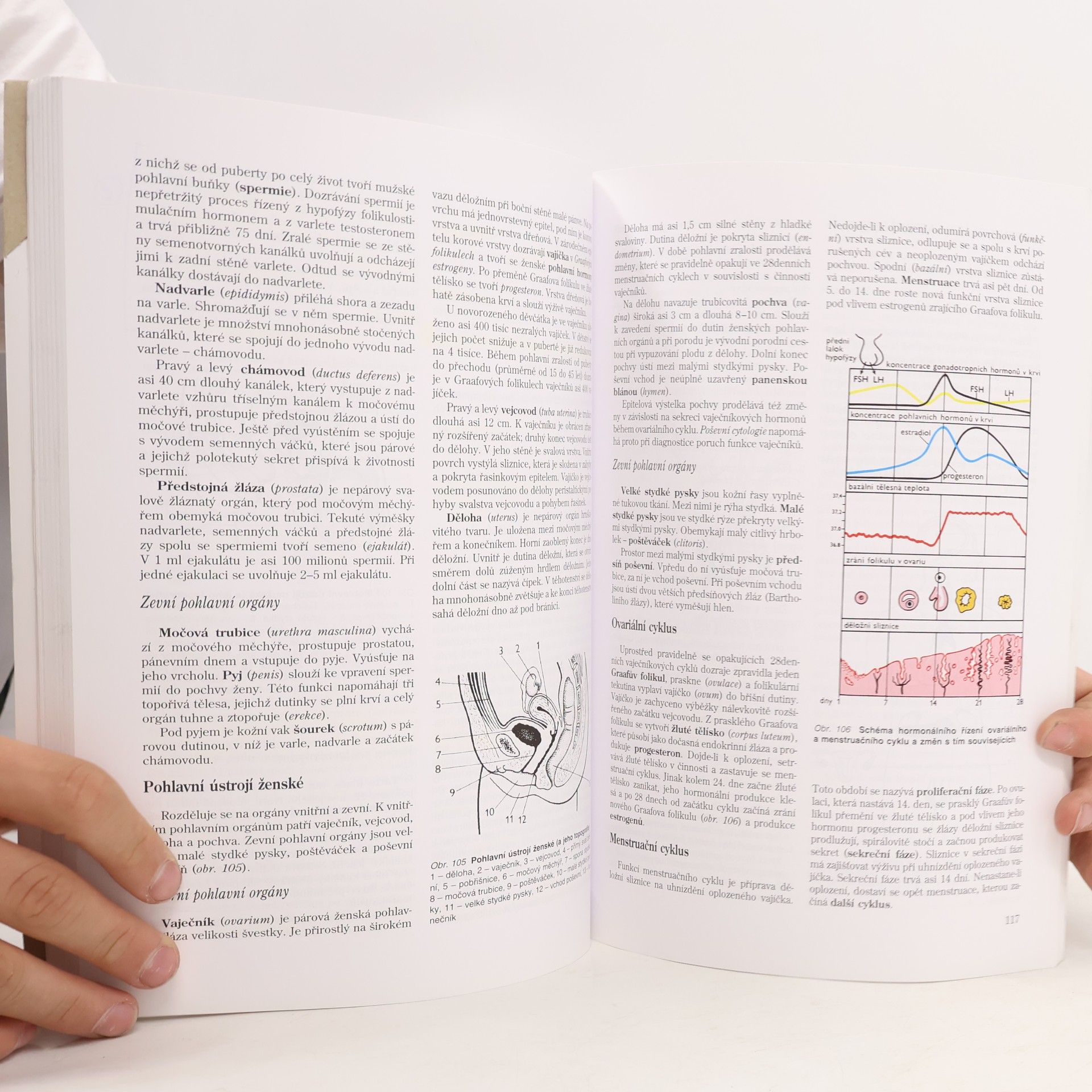 Jitka Machová Biologie člověka pro učitele