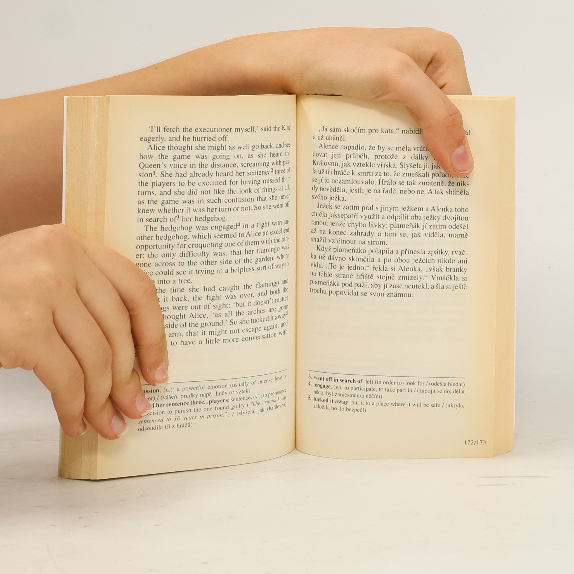 Lewis Carroll Alice's Adventures in Wonderland = Alenka v kraji divů