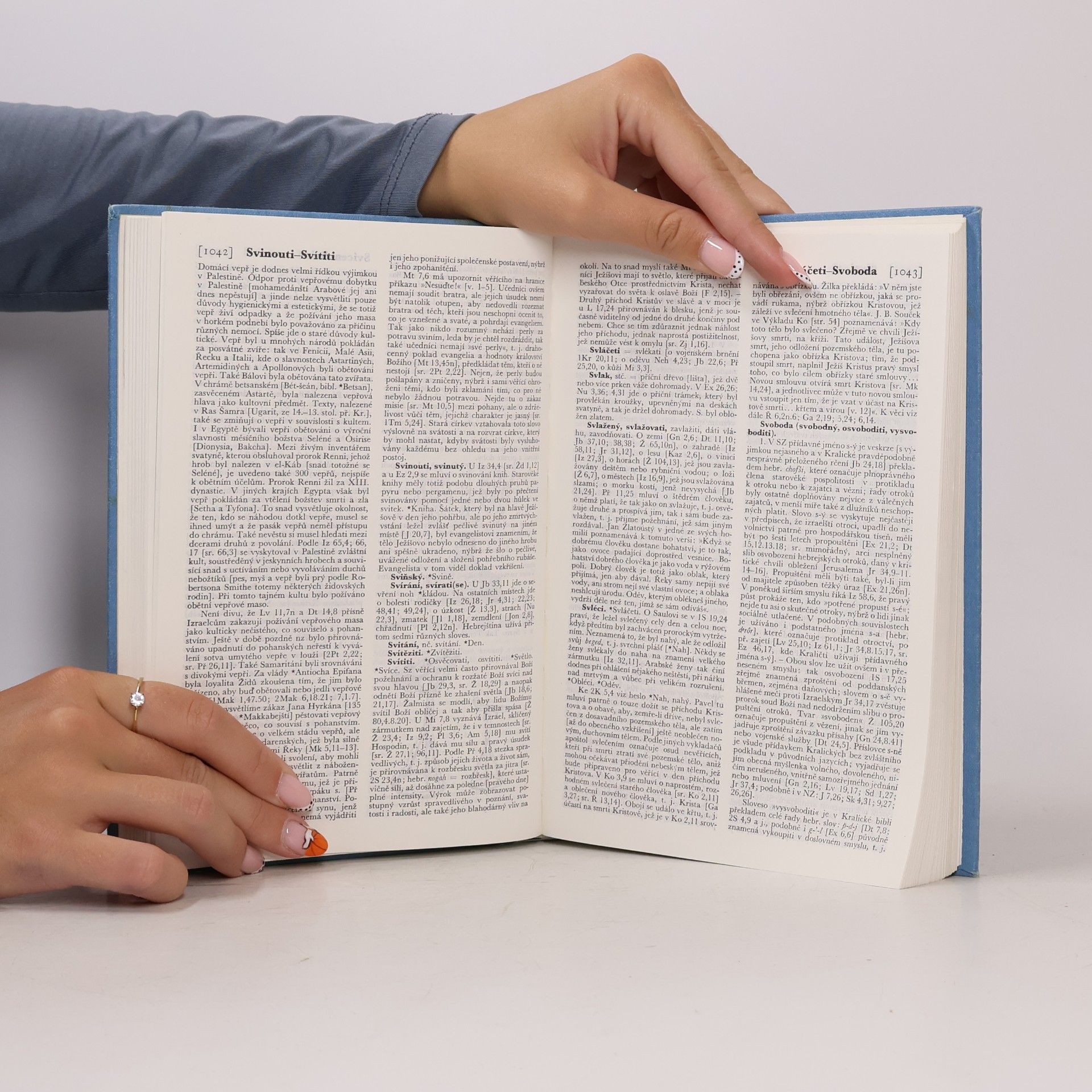 Collectif d'auteurs Biblický slovník. R-Ž