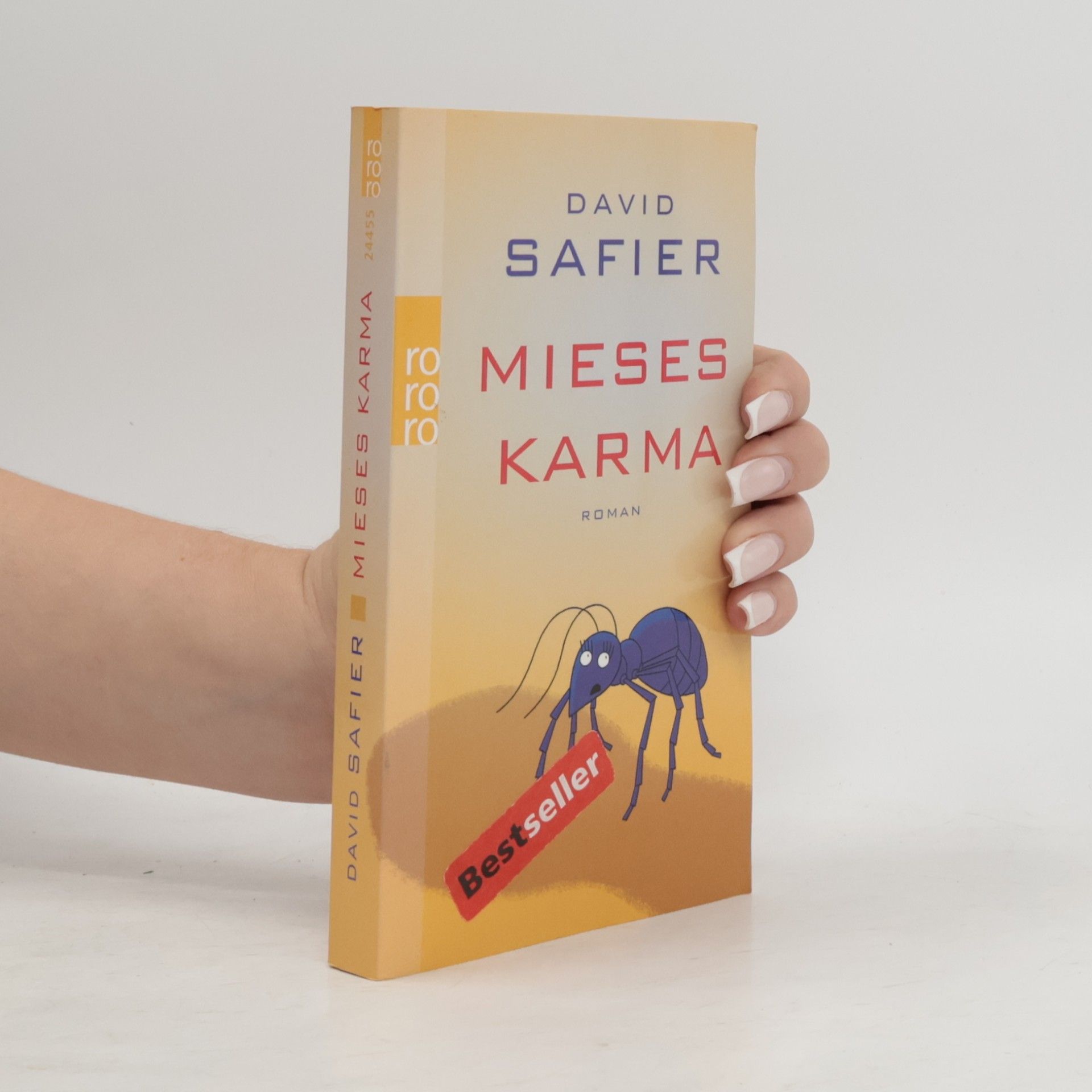 David Safier Mieses Karma