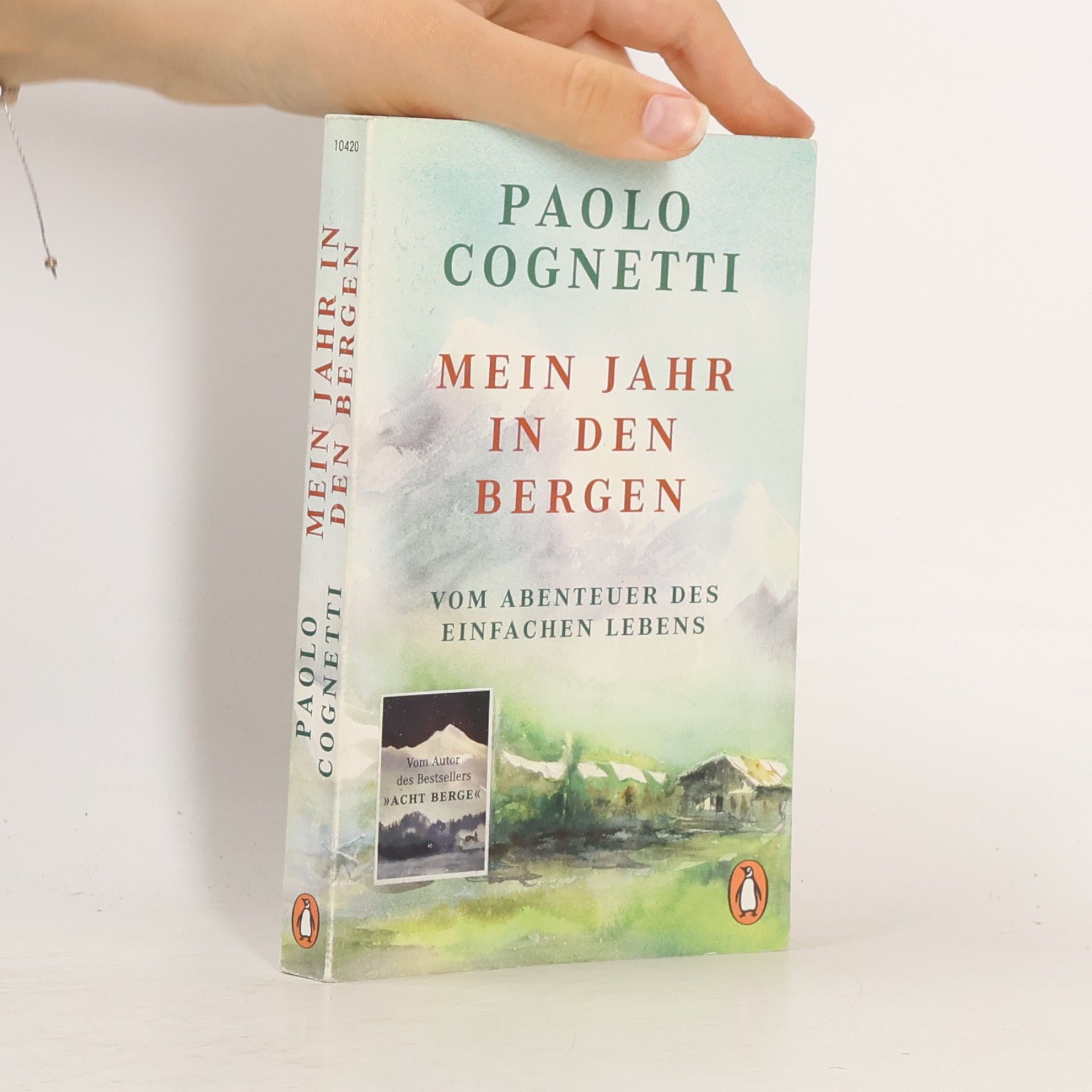 Paolo Cognetti Mein Jahr in den Bergen