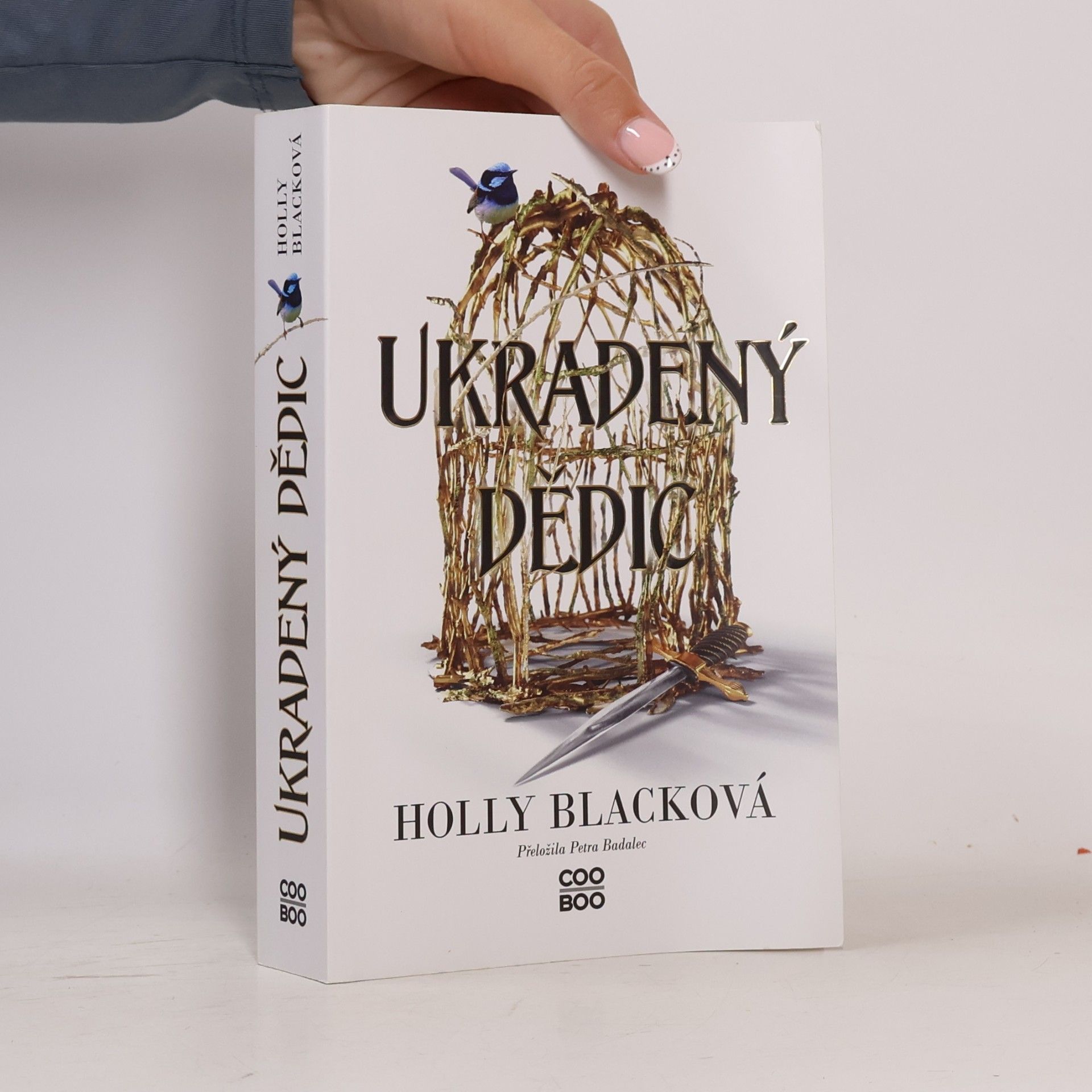 Holly Black Ukradený dědic
