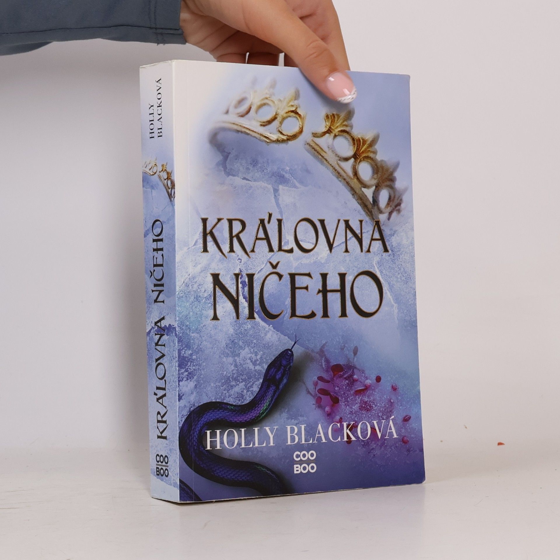 Holly Black Královna ničeho