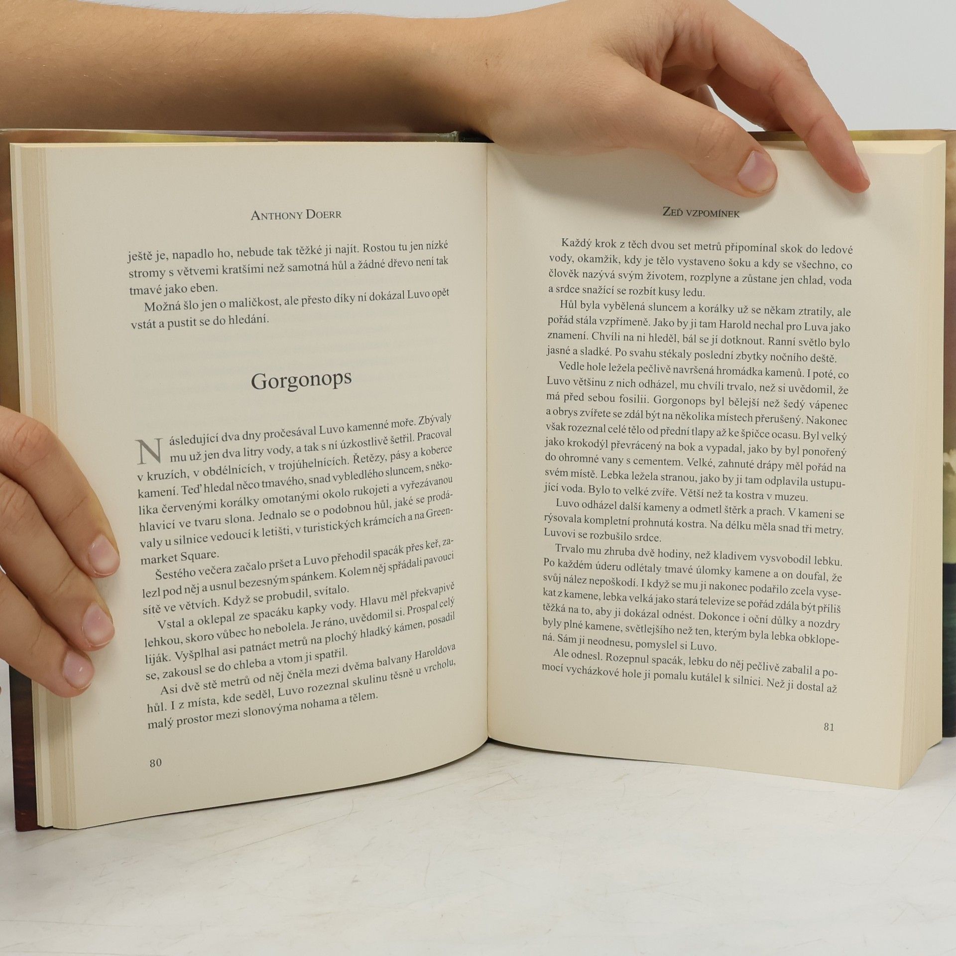 Anthony Doerr Zeď vzpomínek