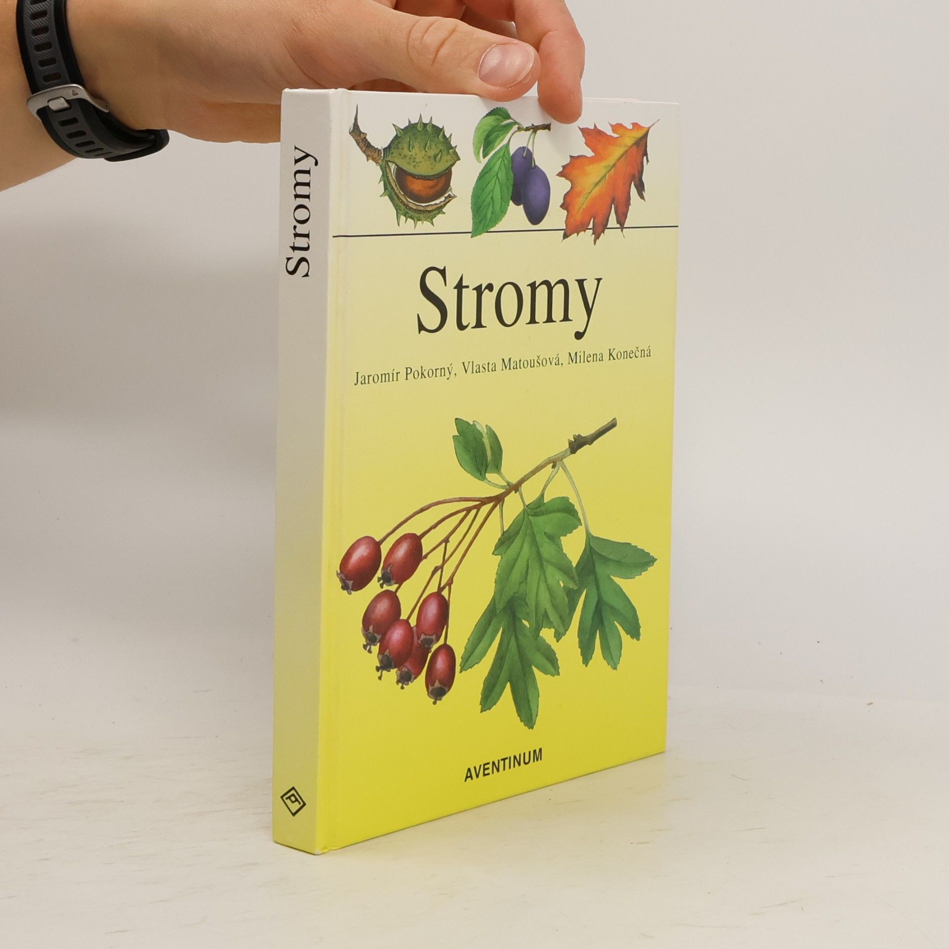 Jaromír Pokorný Stromy