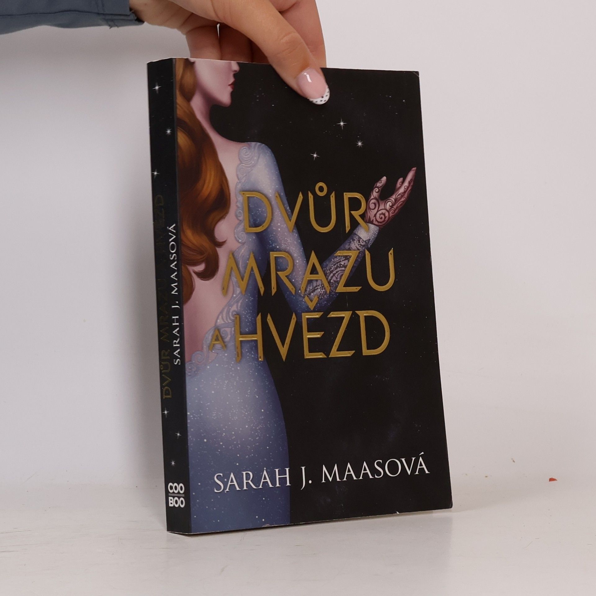 Sarah J. Maasová Dvůr mrazu a hvězd