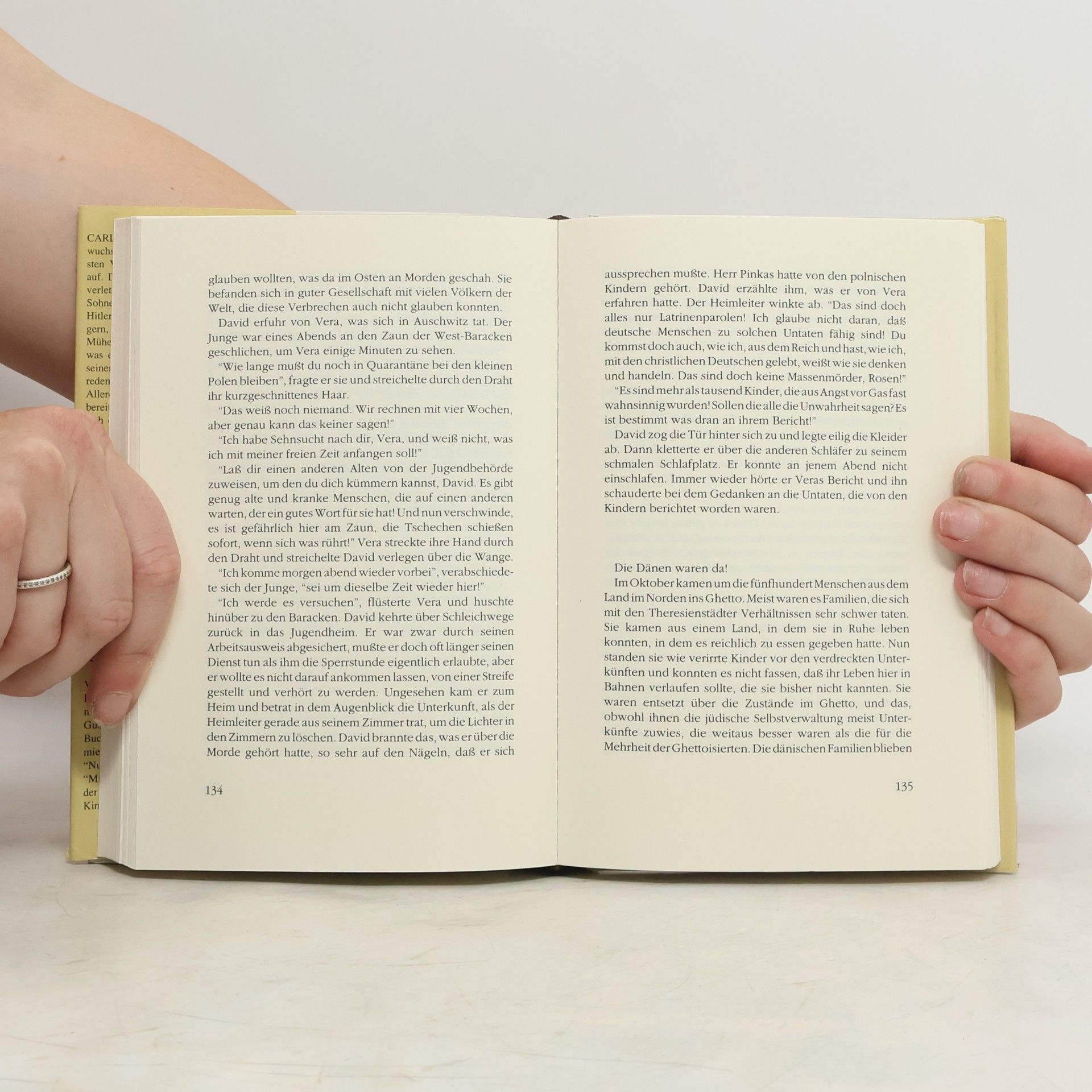 Carlo Ross Im Vorhof der Hölle. Ein Buch gegen das Vergessen.