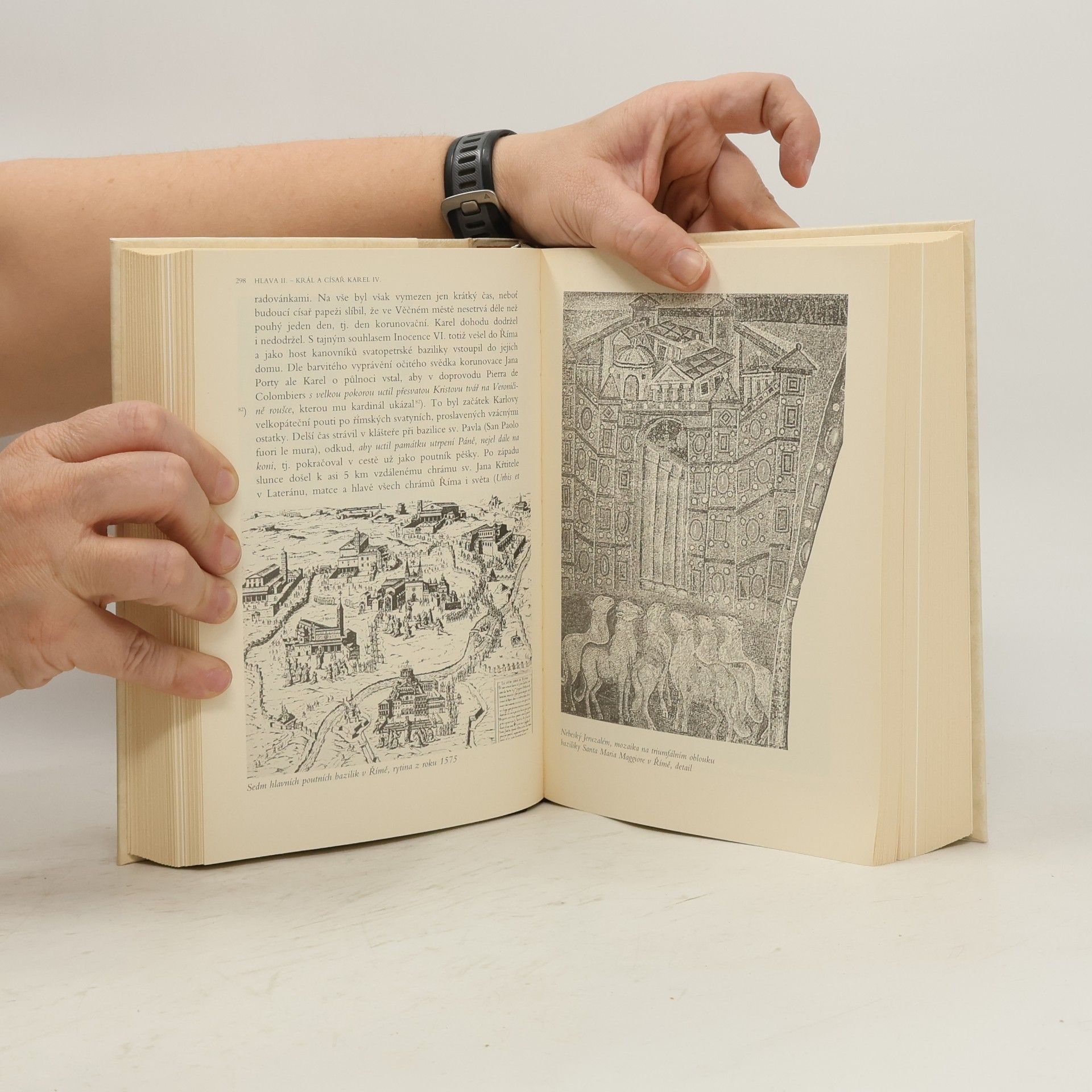 Lenka Bobková Velké dějiny zemí Koruny české IV.a 1310-1402